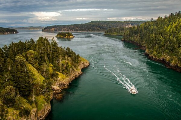 Nature forest river Whidbey Island