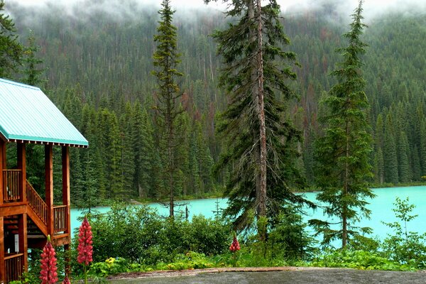 Beautiful view on the background of Yoho National Park