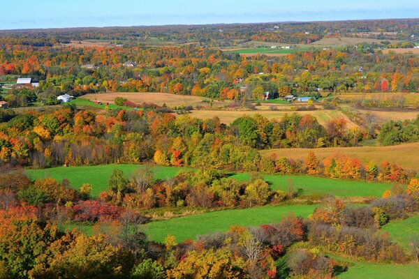 Colored leaves on trees on hills