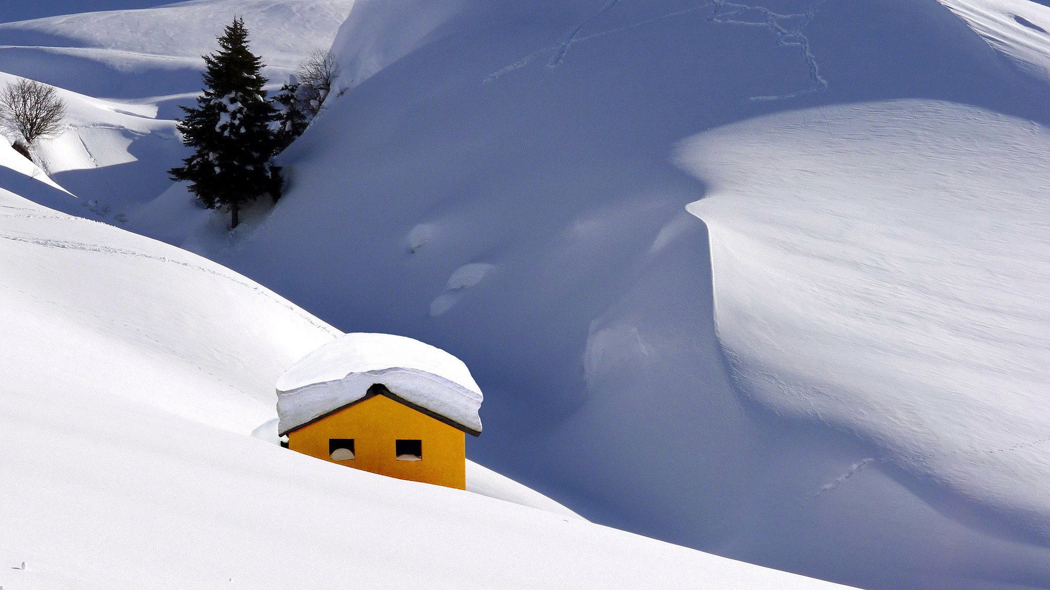 montagnes hiver neige maison arbre sapin