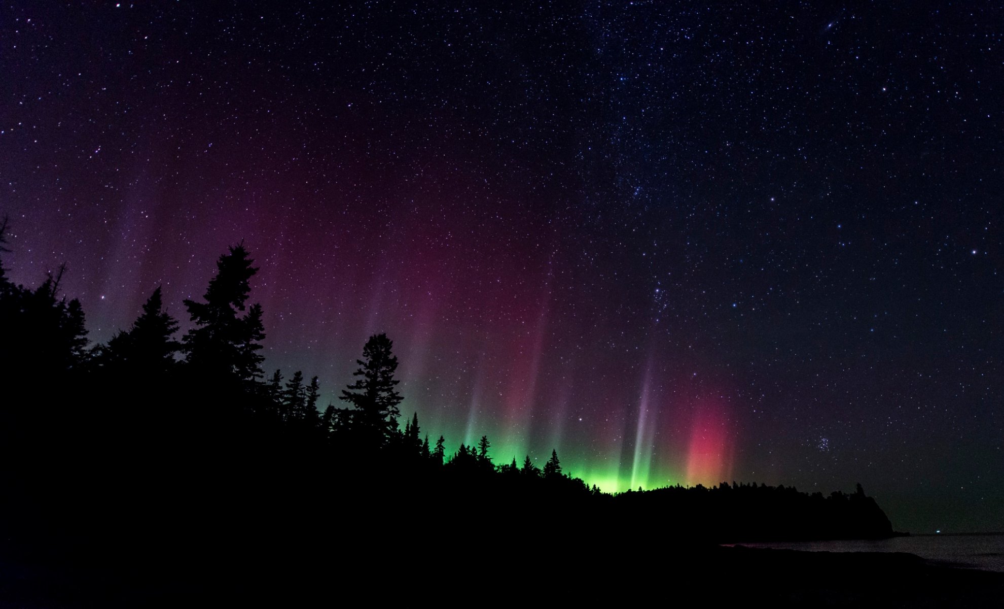 north night sky star northern lights forest silhouette