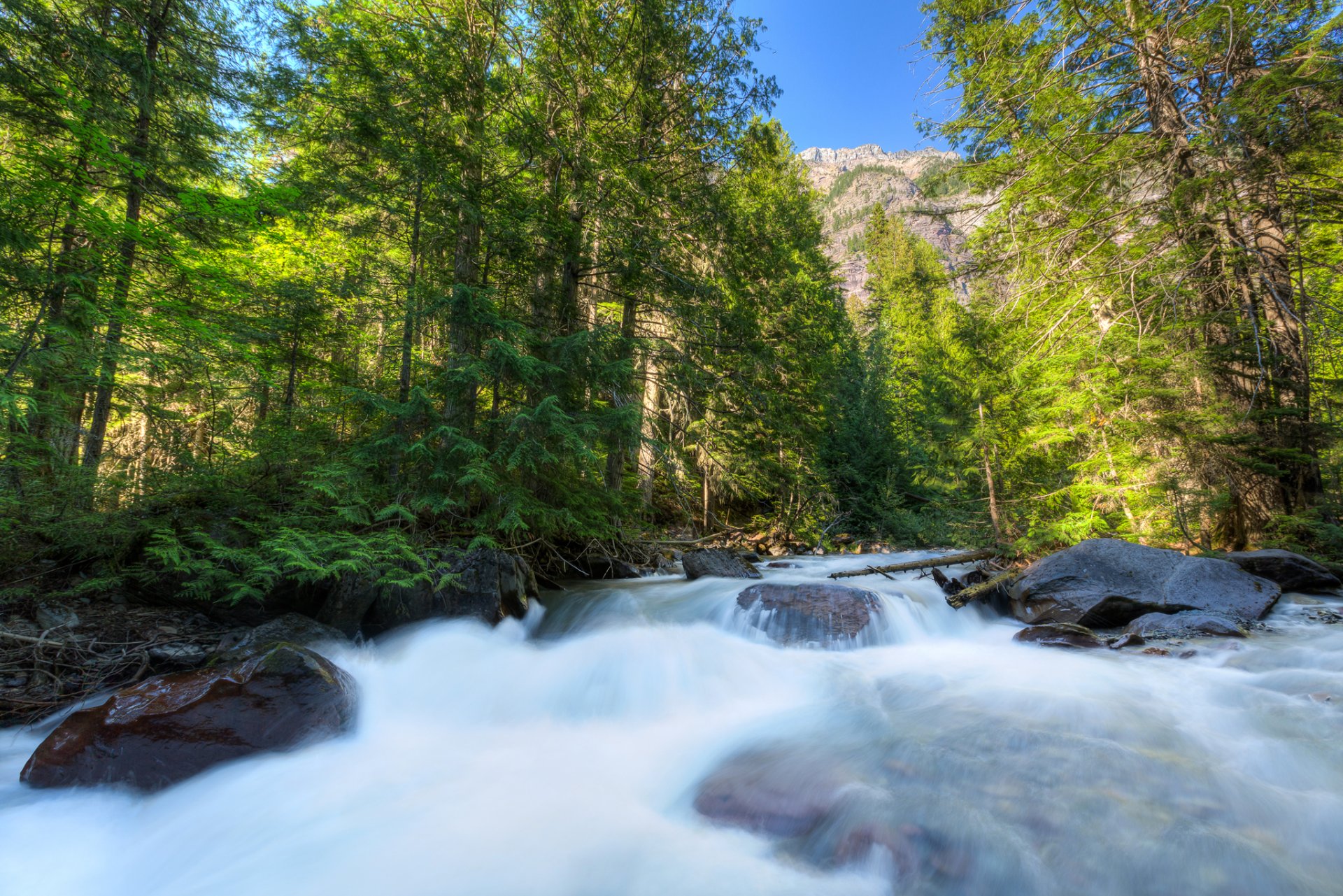 glacier national park montana usa himmel berge bäume fluss strom steine wald