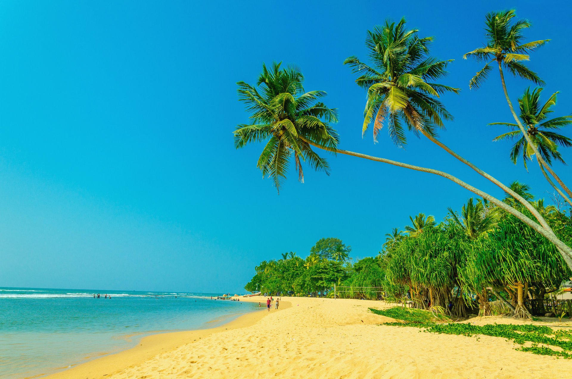 été plage mer côte paradis tropical sable palmiers