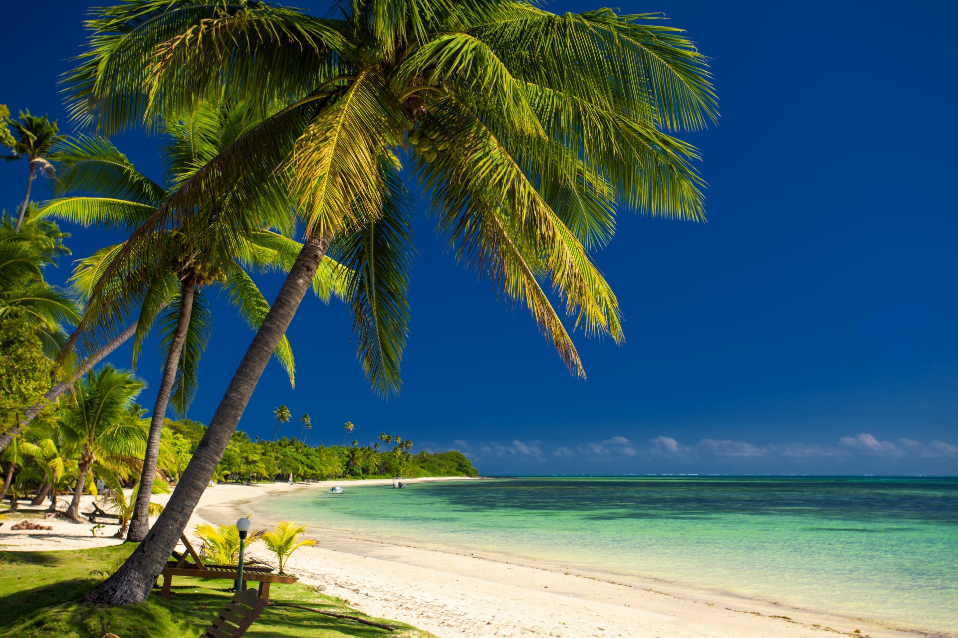 coast sea boats palm tree