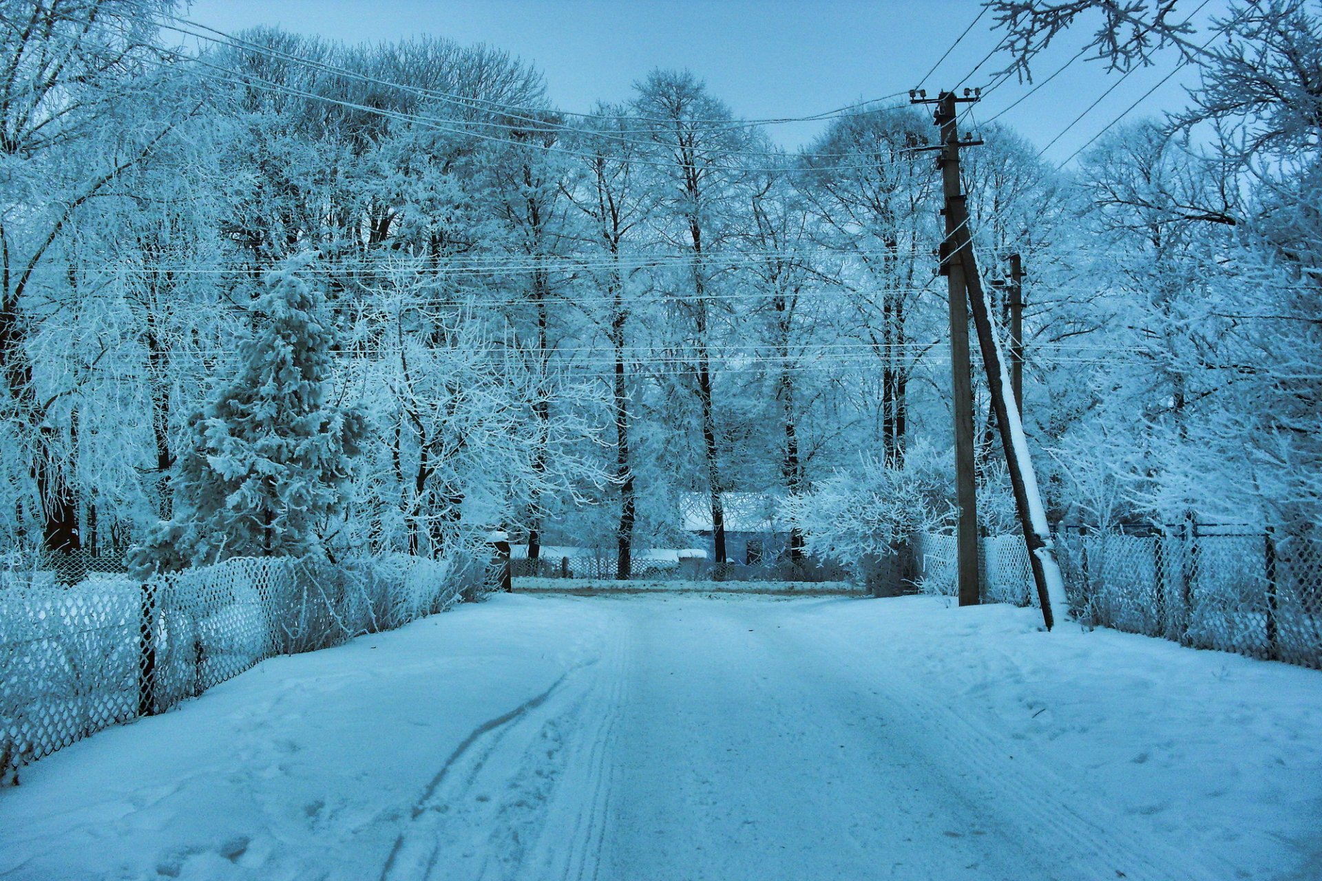 invierno nieve árboles alambre carretera paisaje