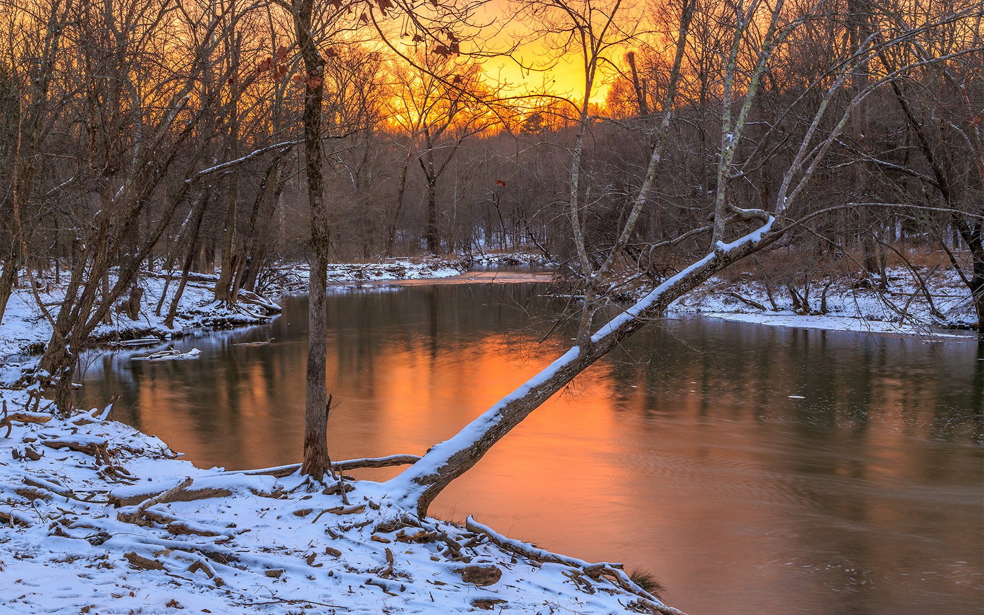 rivière forêt hiver coucher de soleil