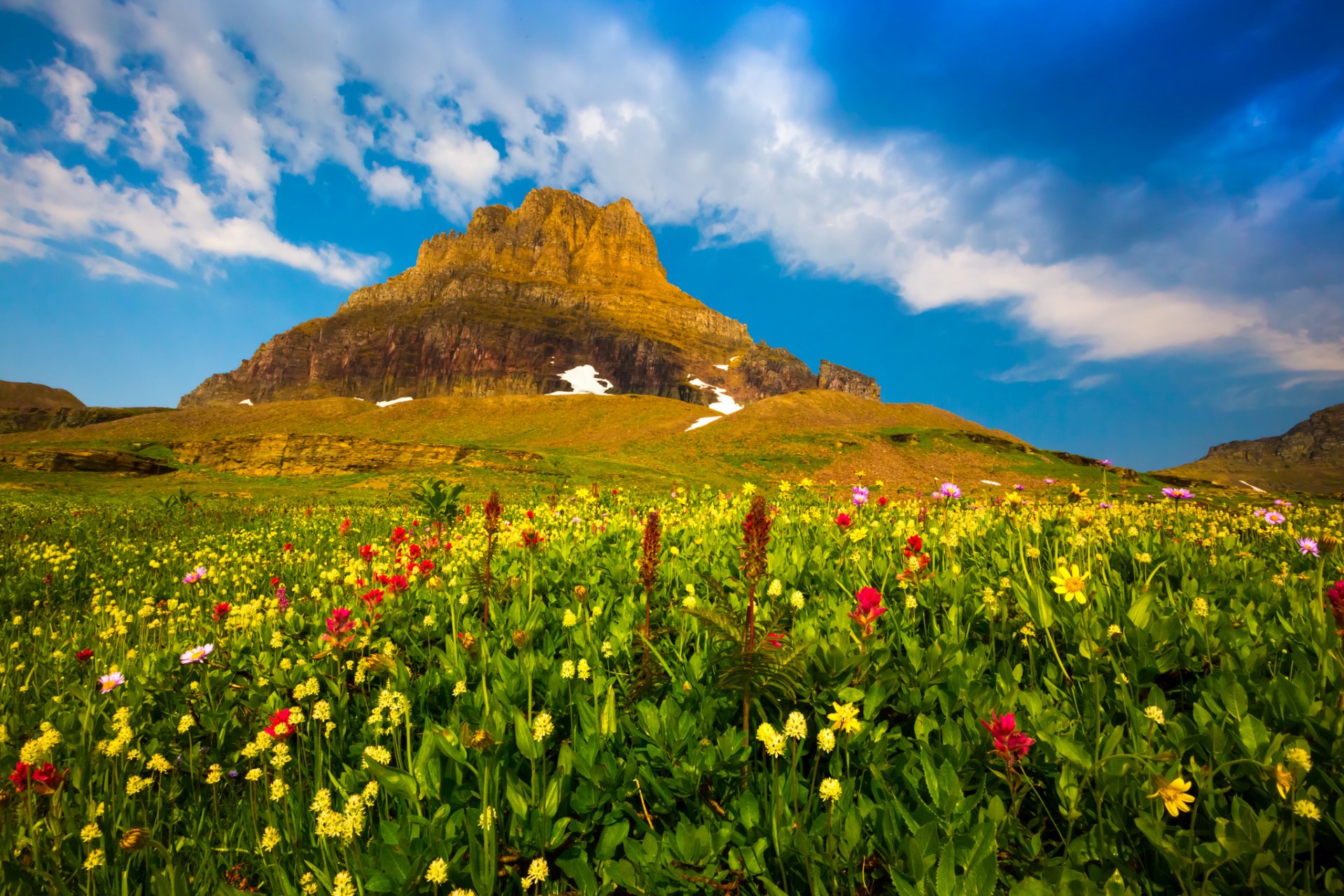 berg tal blumen pflanzen himmel wolken