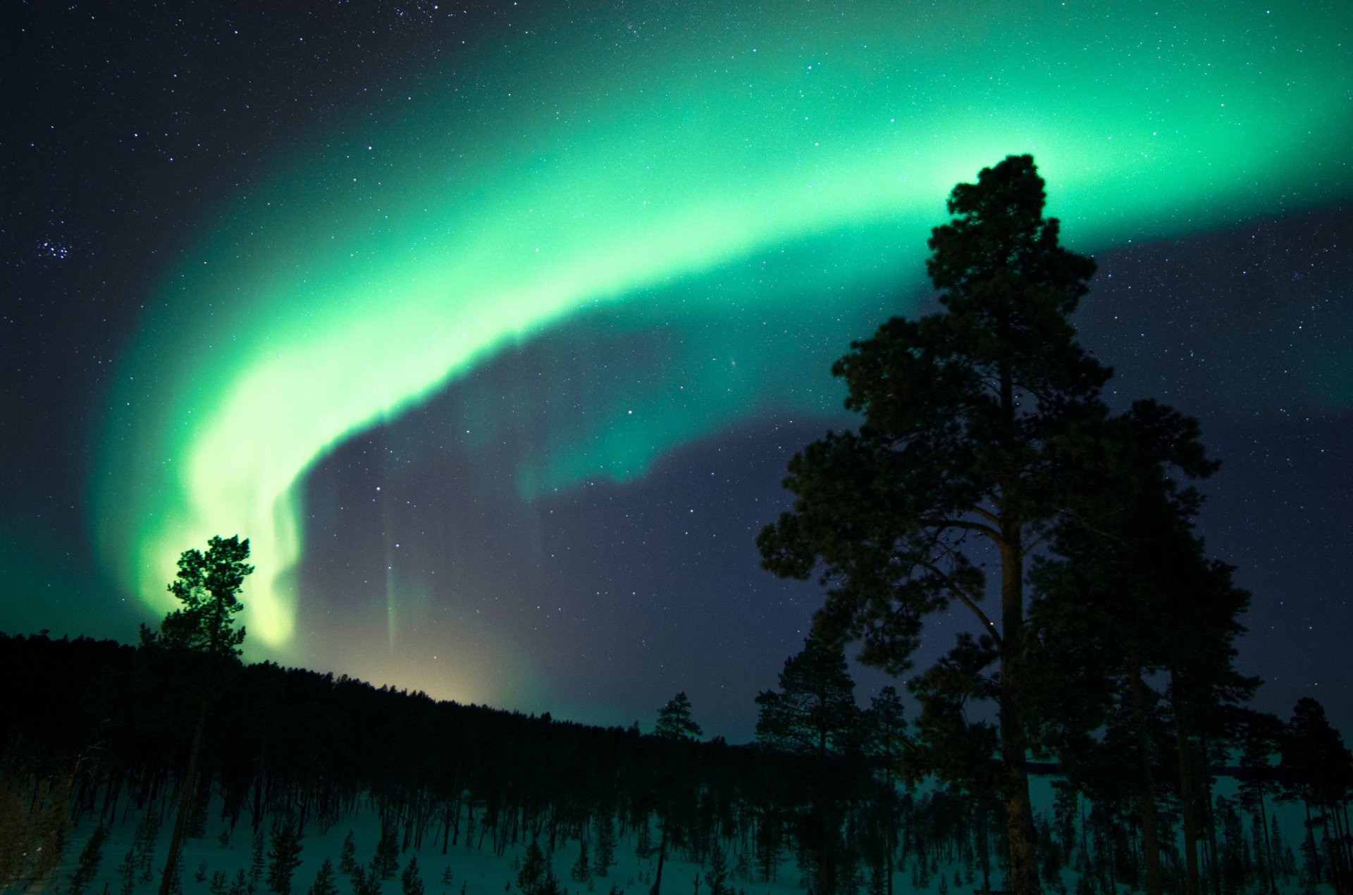 finnland nacht himmel sterne nordlichter bäume schnee