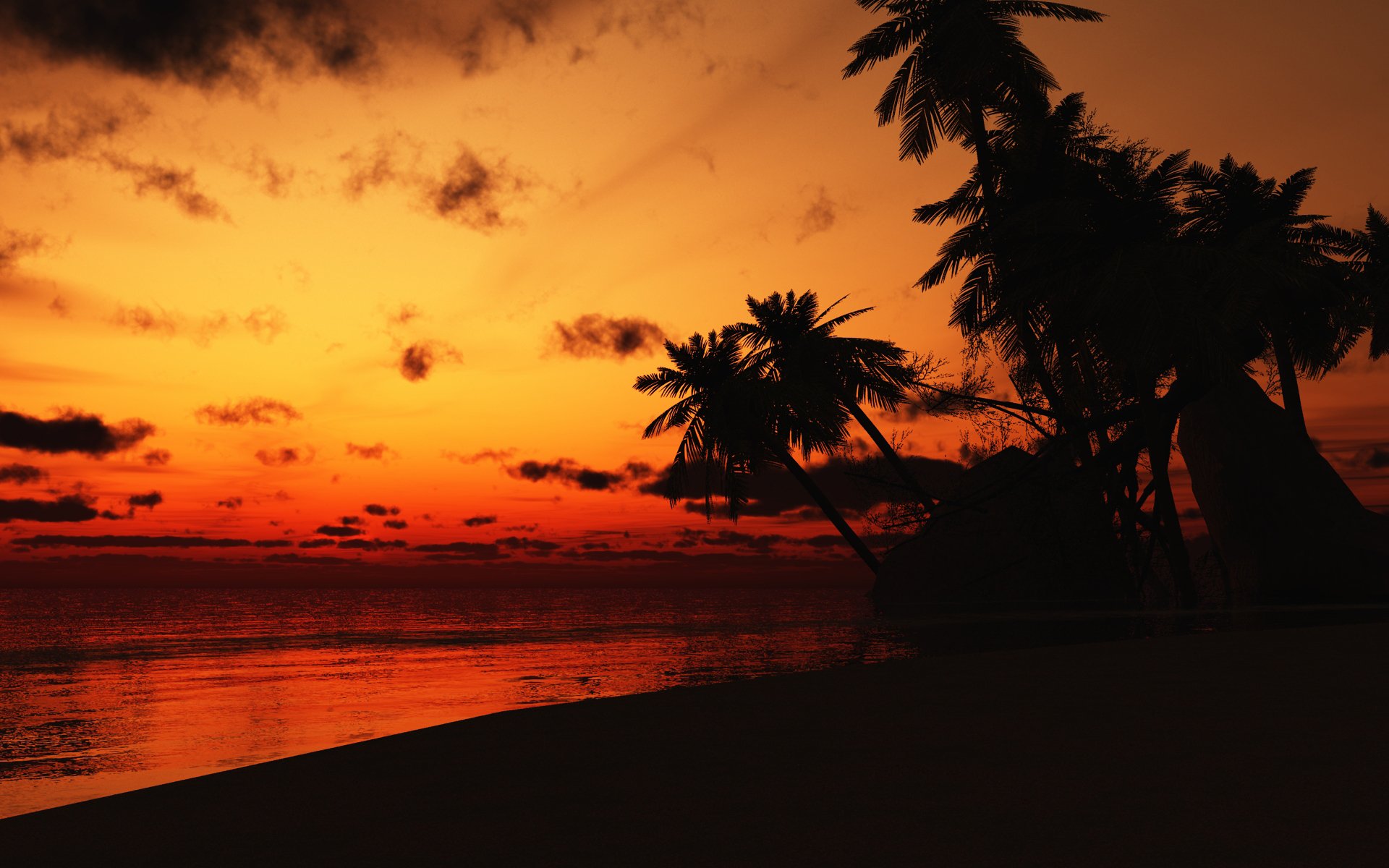 unset night costa rica palm beach sea cloud