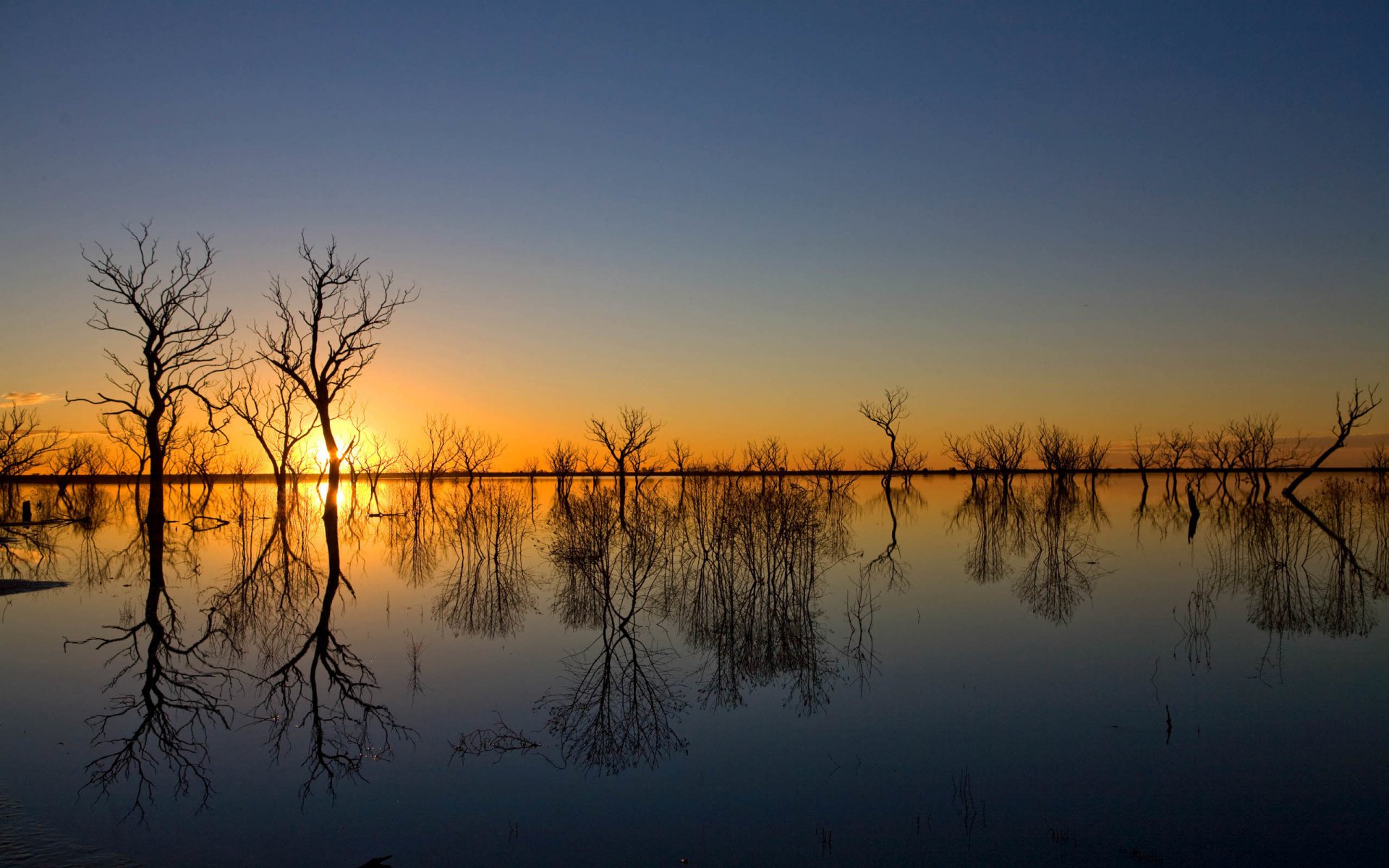 himmel abend sonnenuntergang verschütten bäume wasser hochwasser frühling reflexion