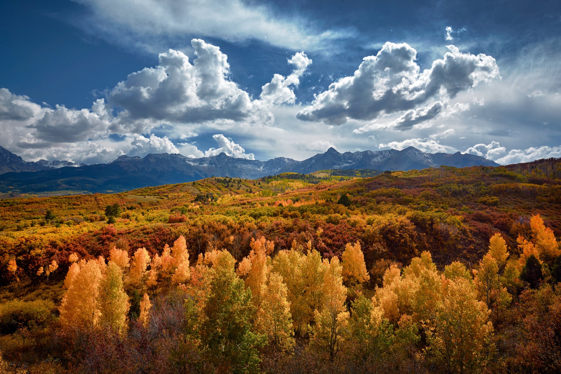 usa bundesstaat colorado berge herbst goldener wald