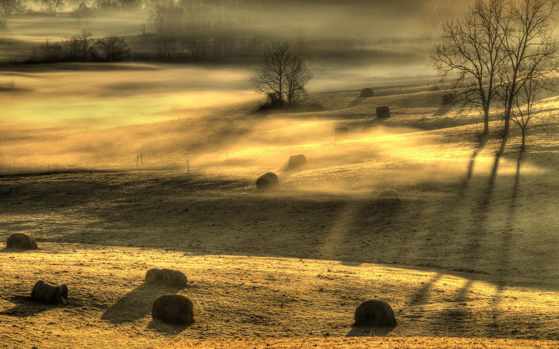 mañana campo niebla paisaje luz