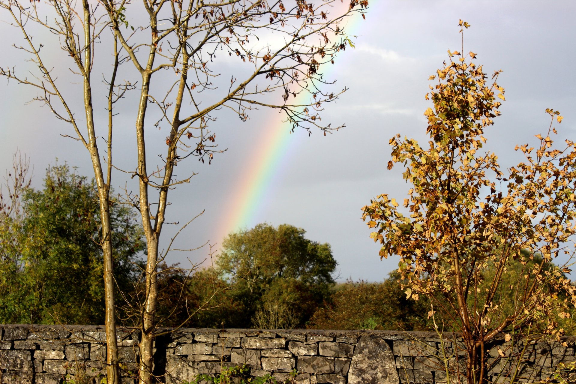 pared piedra árboles follaje cielo arco iris