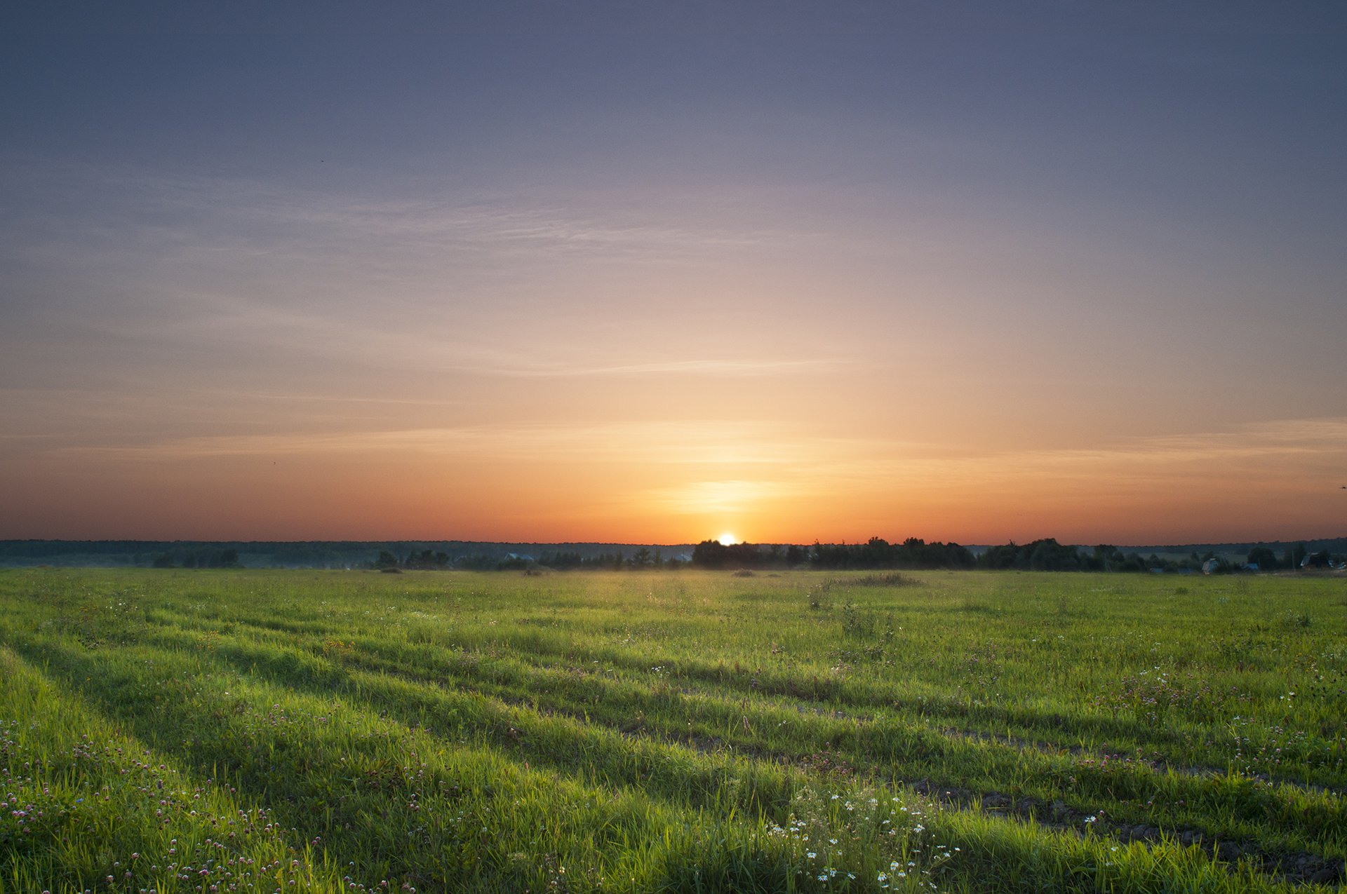 campo cielo tramonto fiori alberi villaggio villaggio sole