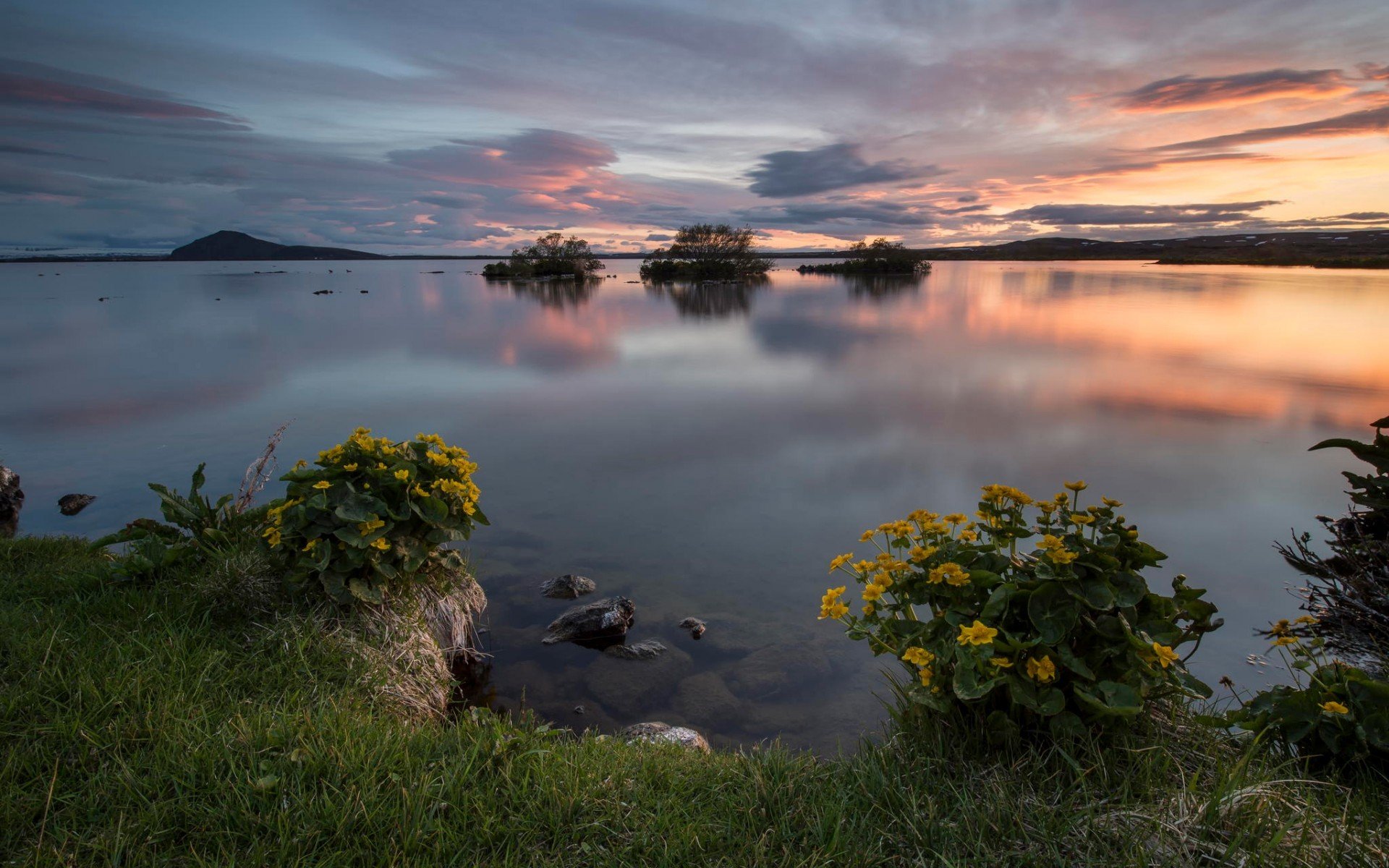 landschaft ufer gras sonnenuntergang horizont