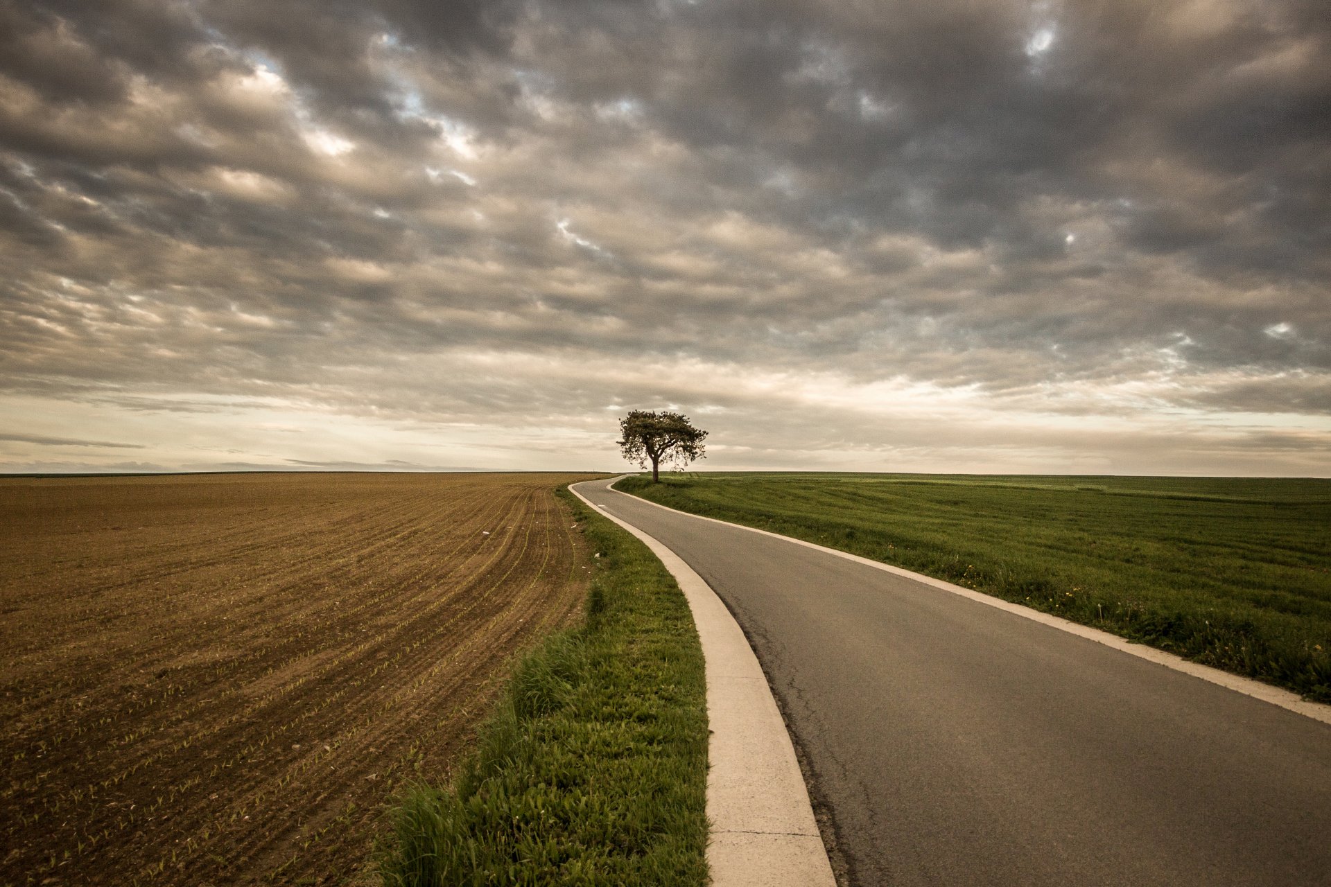 road the field tree gray clouds storm