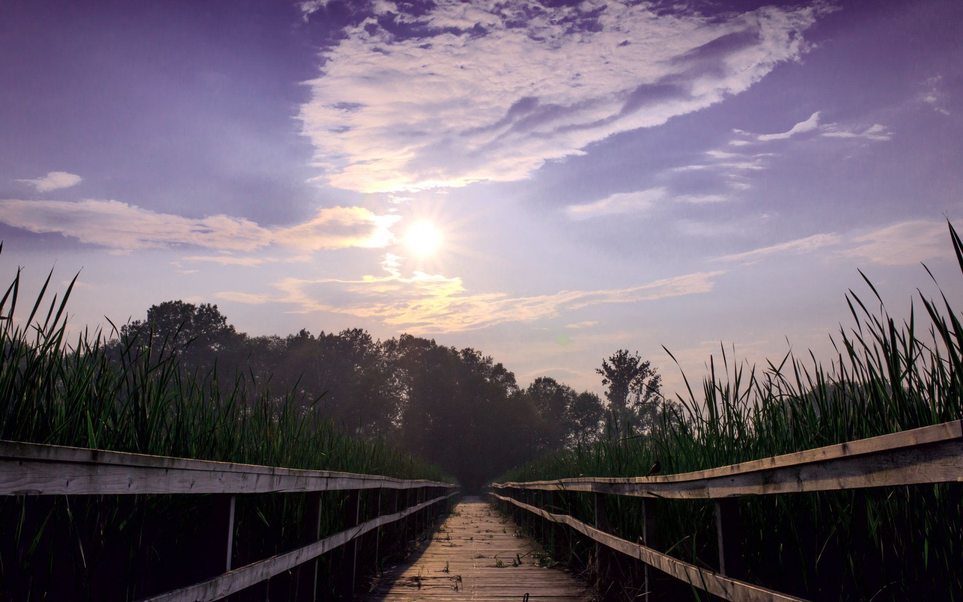 pont lac ciel paysage