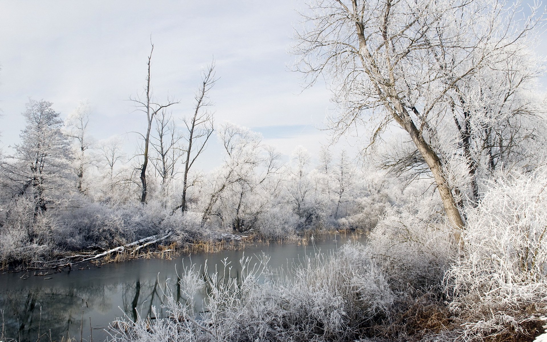 winter nature snow river