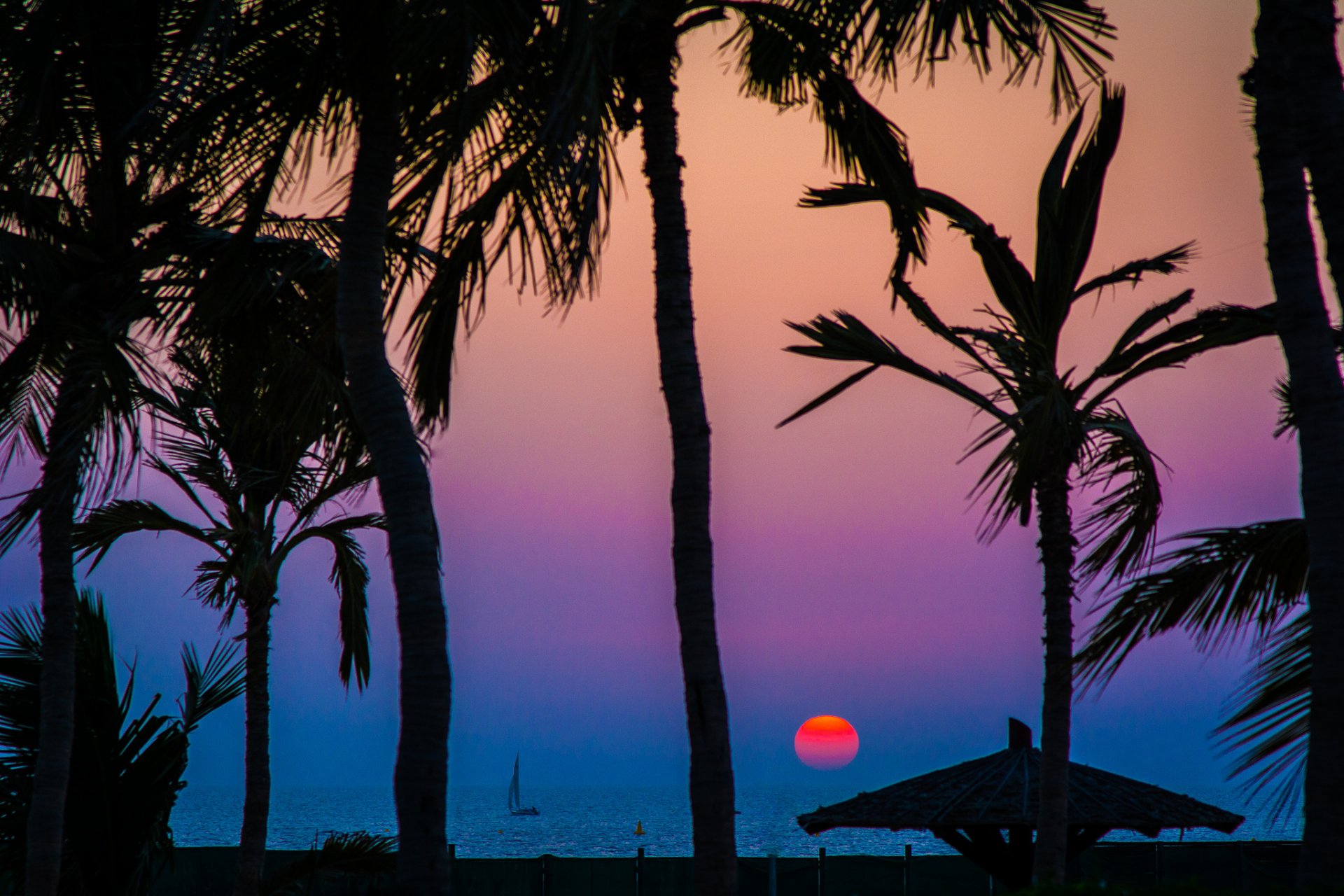 cielo mare tramonto sole sagoma palme barca vela