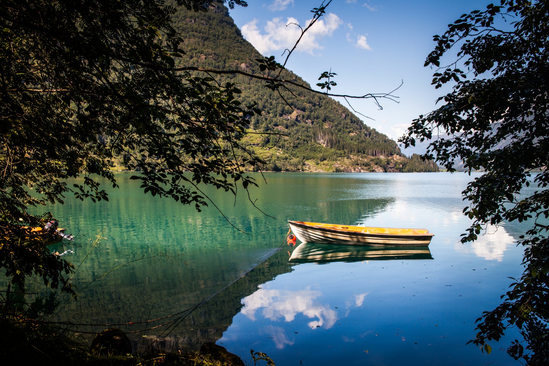 fotografo andrés nieto porras foto barca lago stagno rami