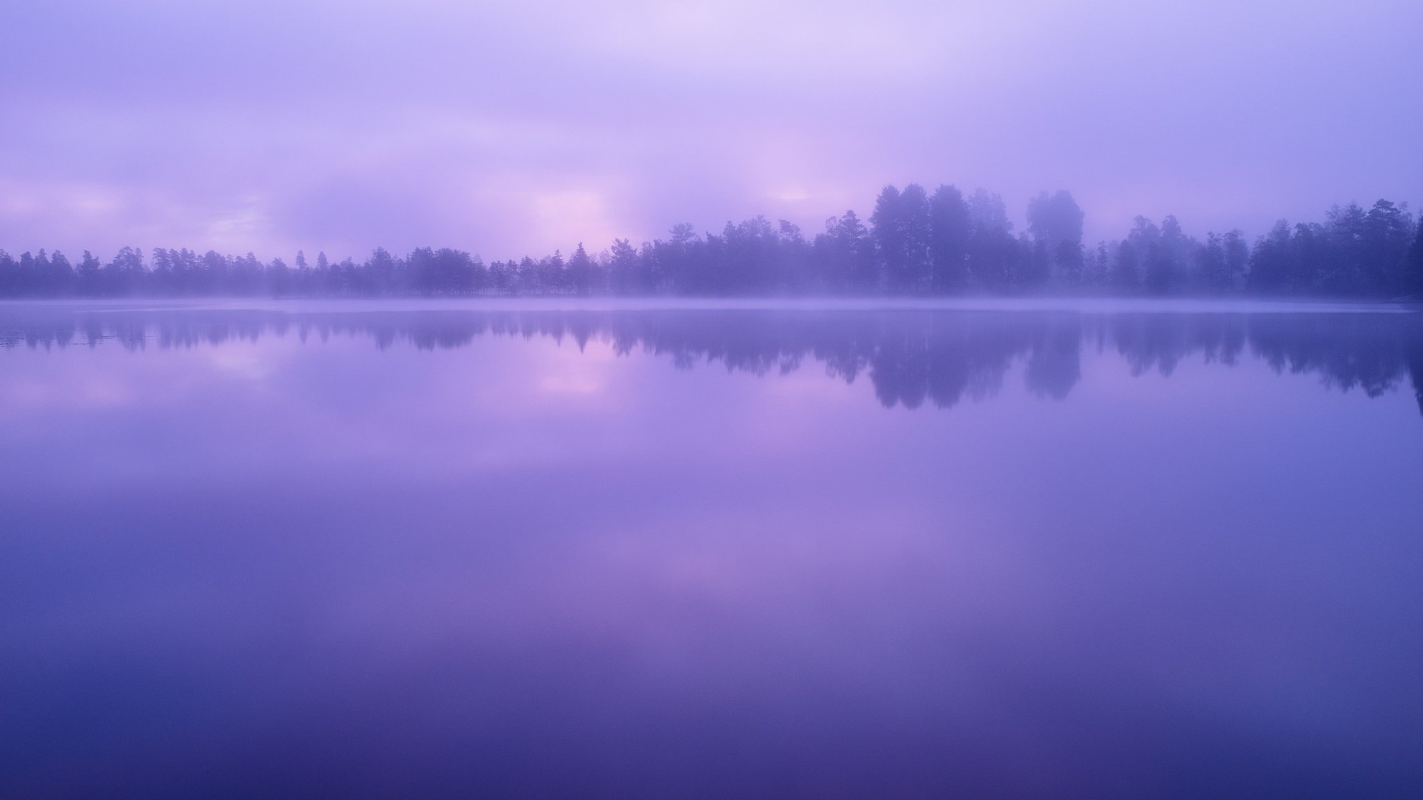 озеро вода лес деревья небо облака