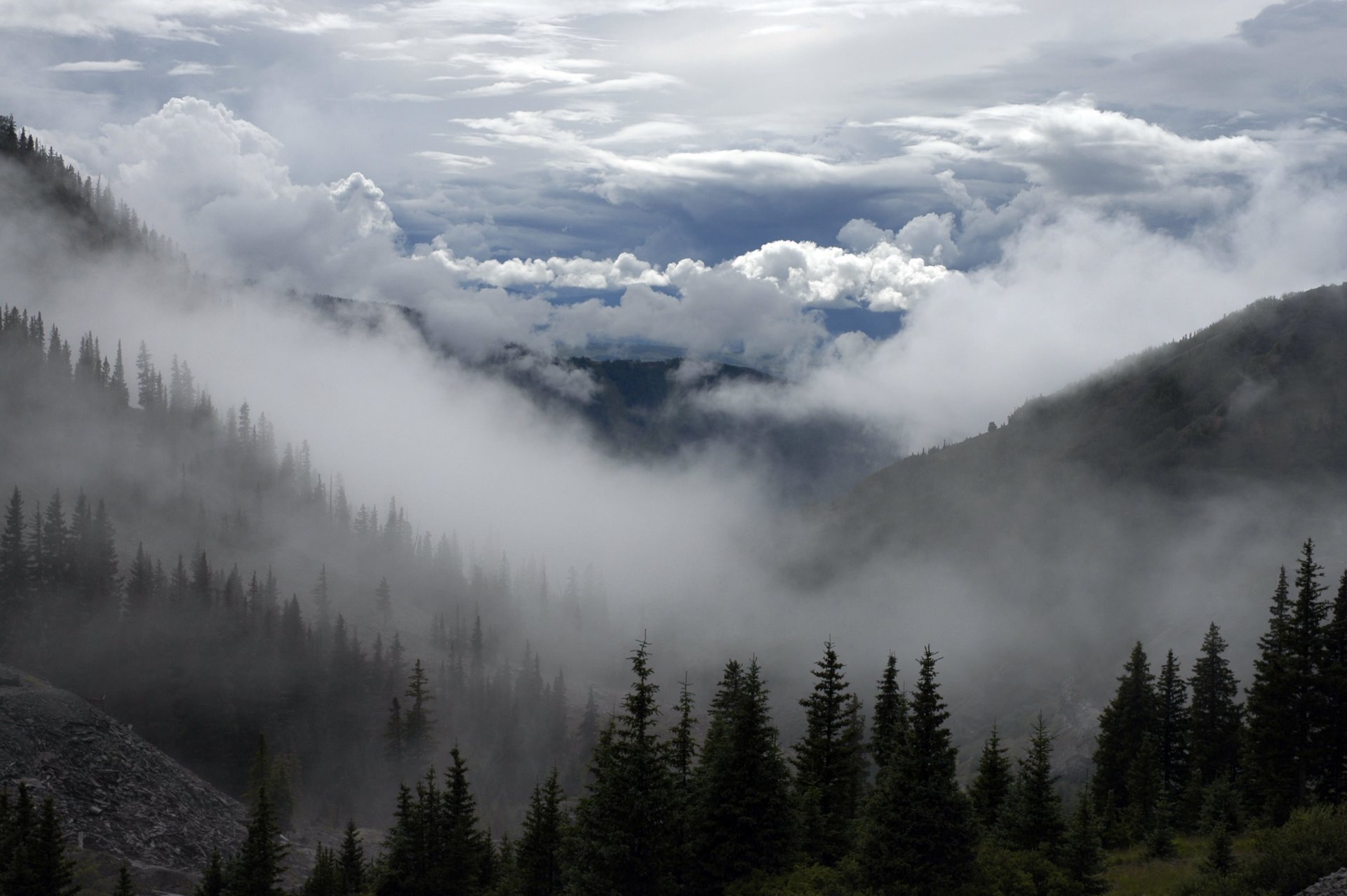 montagnes brouillard forêt