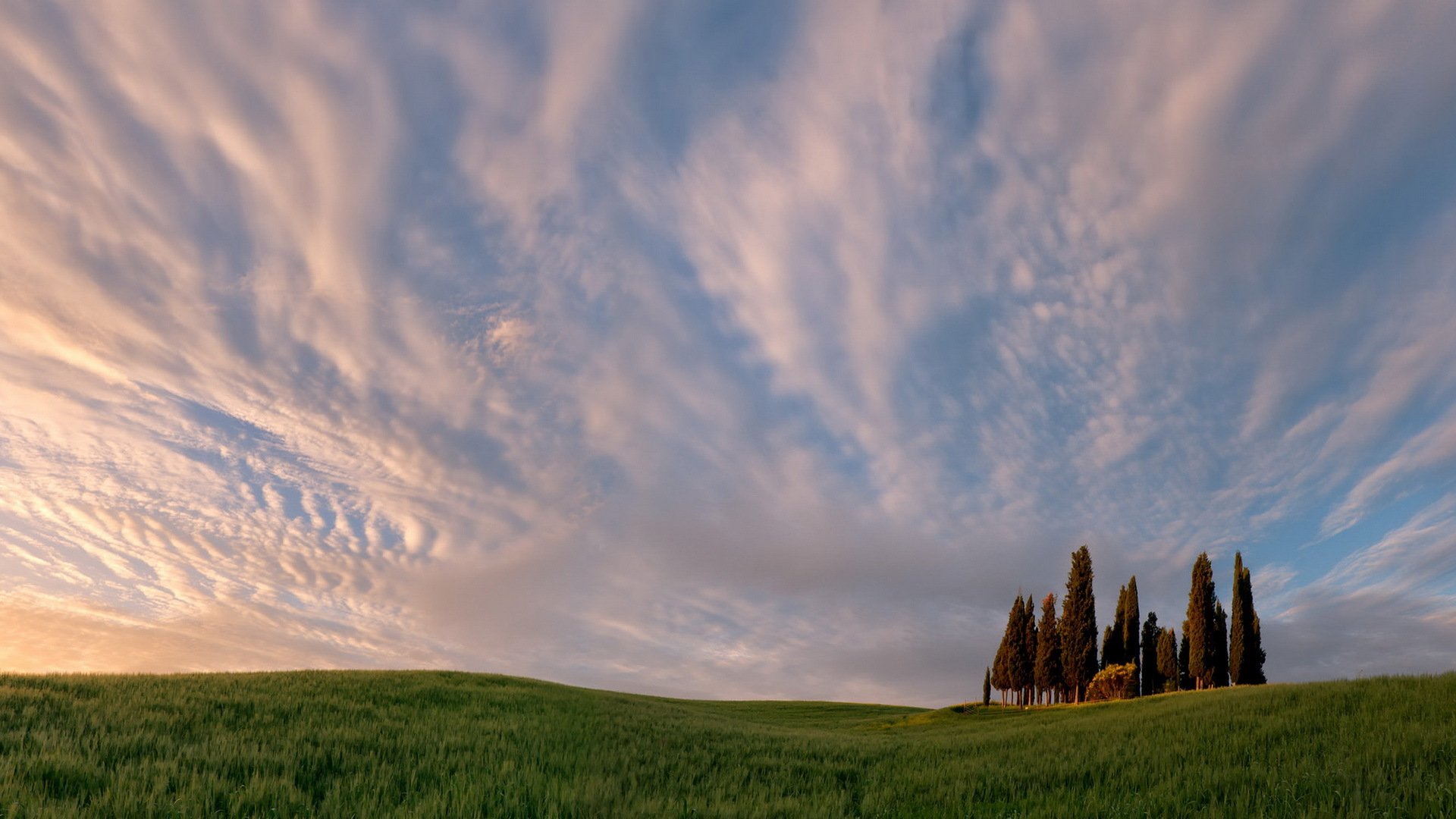 champ ciel paysage