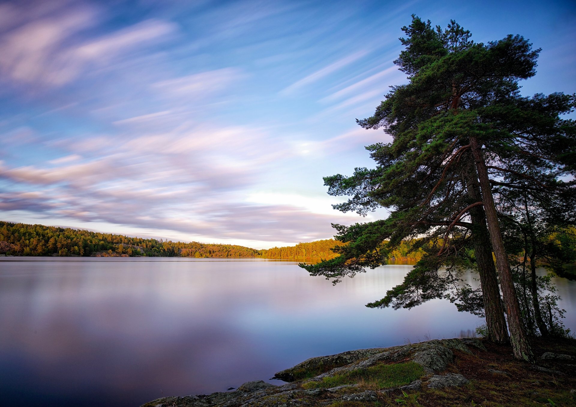 lake källtorpssjön sweden lake tree