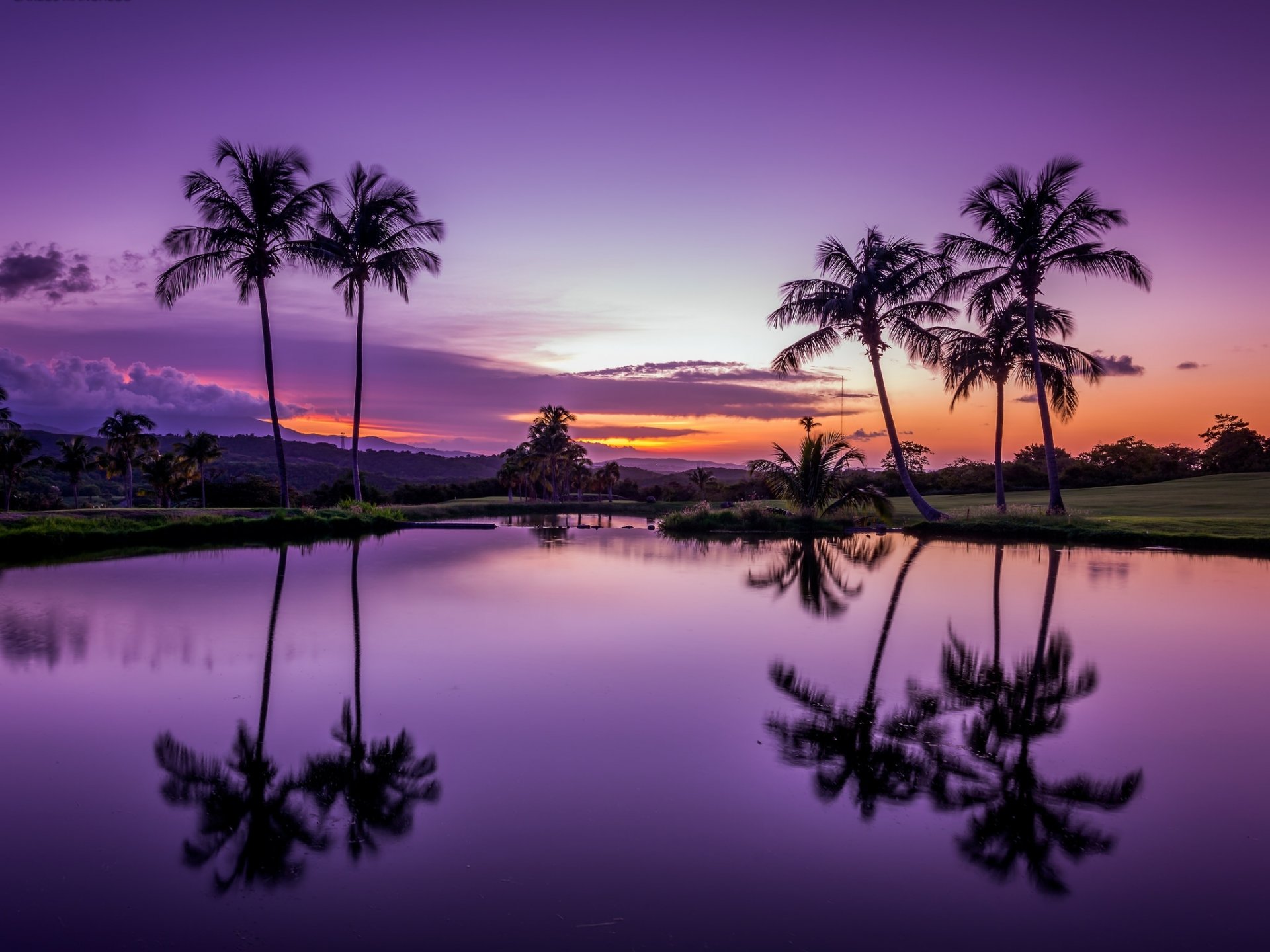 fajardo puerto rico trópicos palmeras puesta de sol agua reflexión