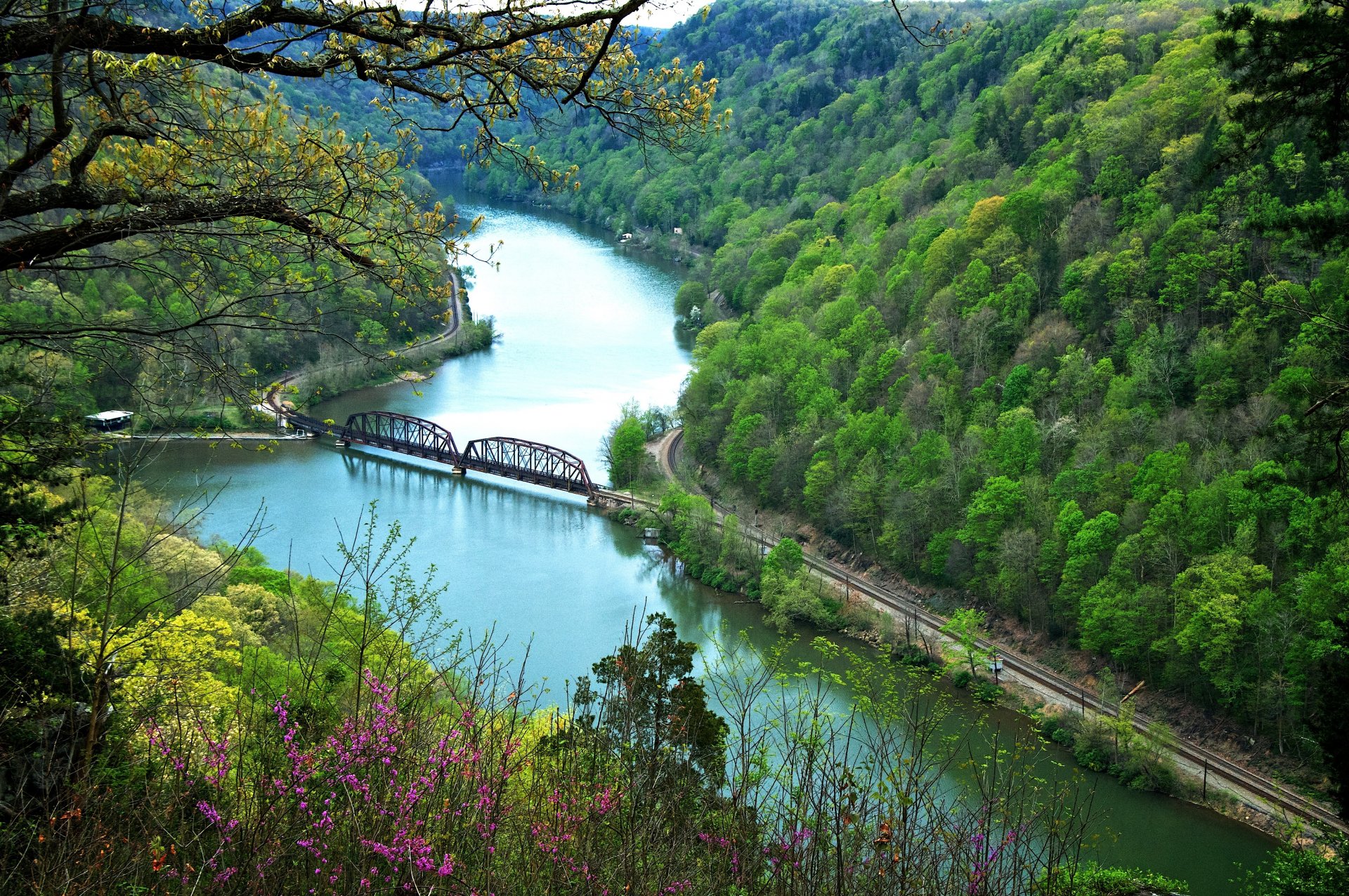 river bridge mountain forest autumn flower slope