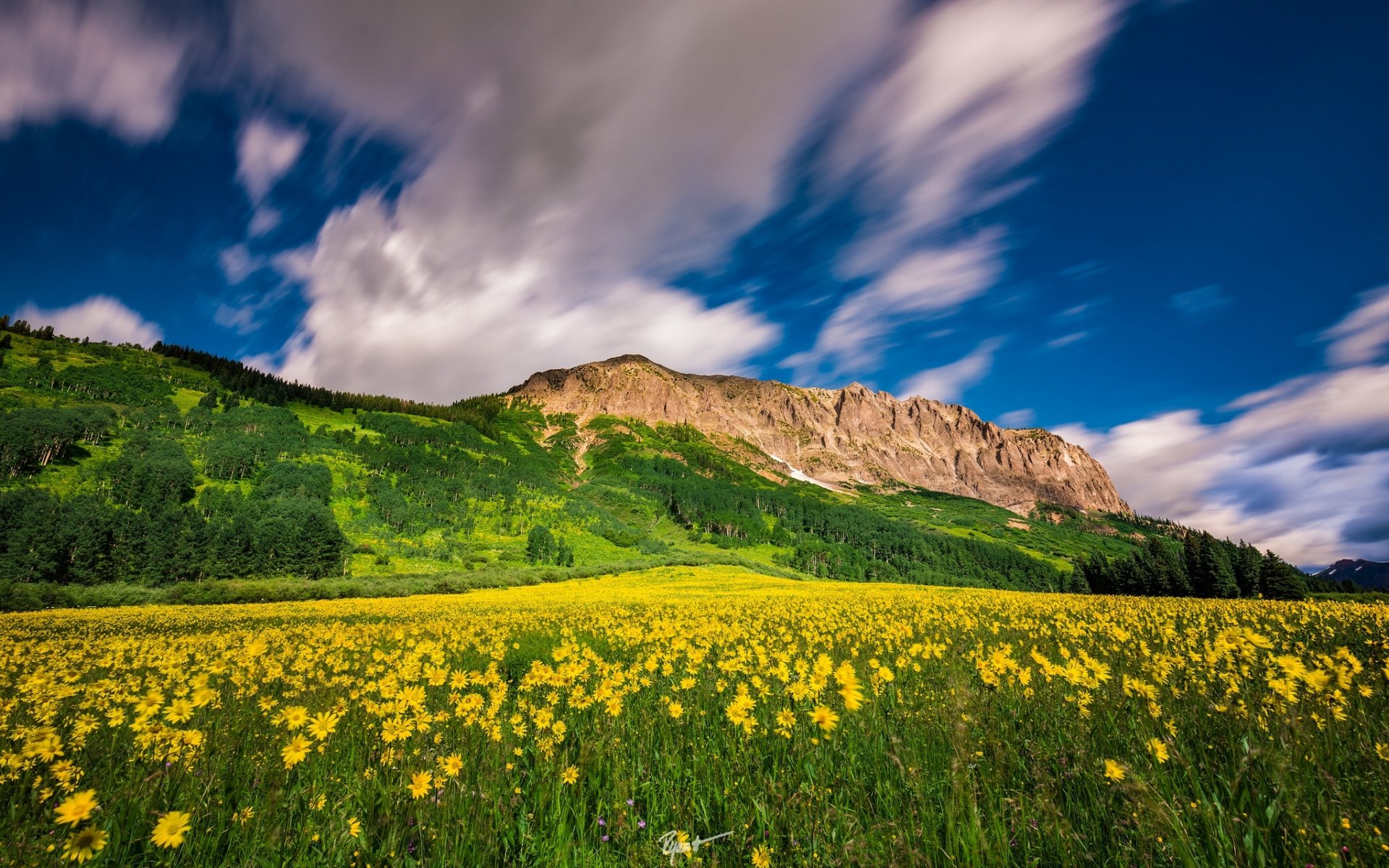 crested bute mountain resort colorado montagna prato fiori nuvole