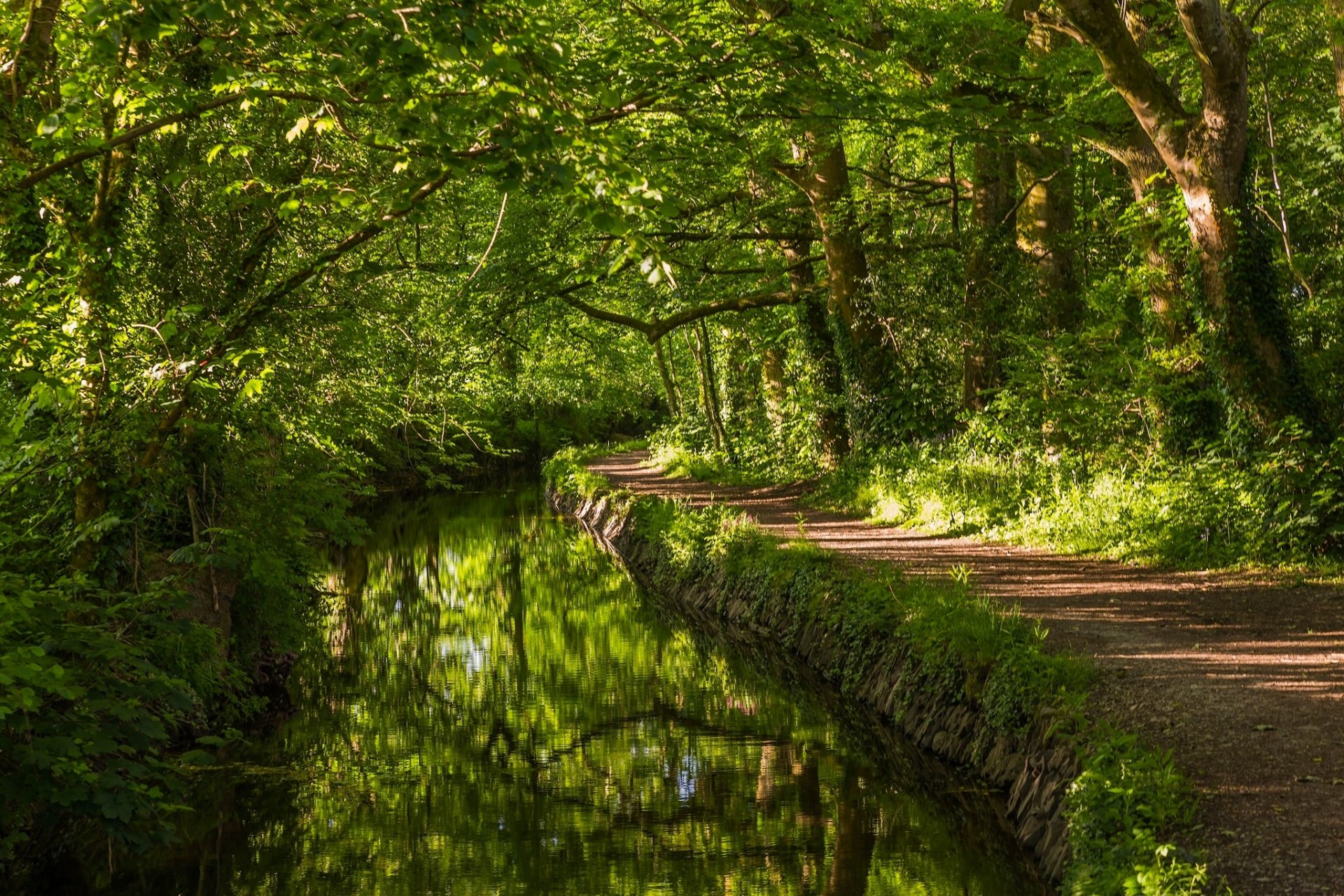 west devon anglia west devon rzeka rzeka las drzewa ścieżka zieleń