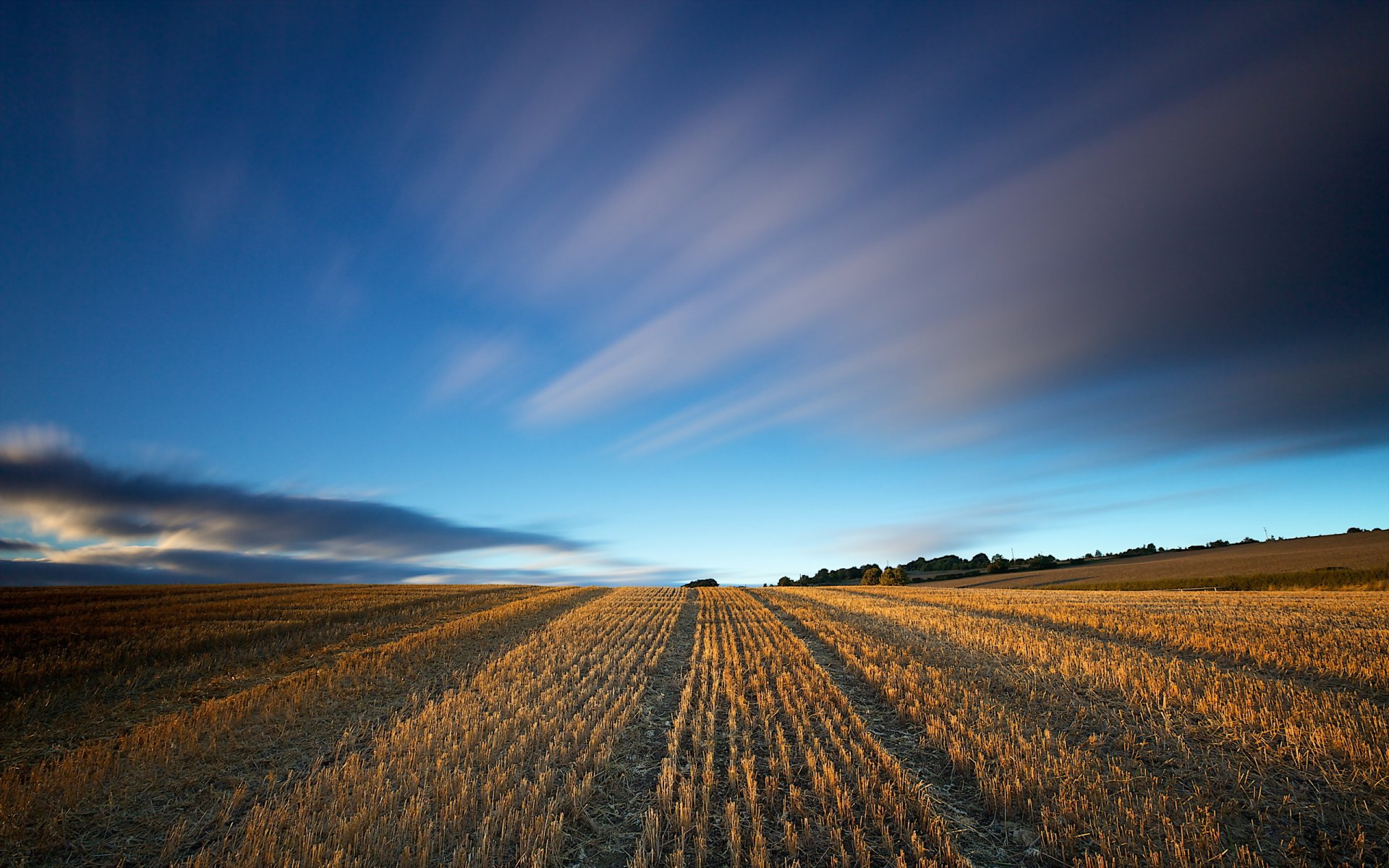 campo cielo paesaggio