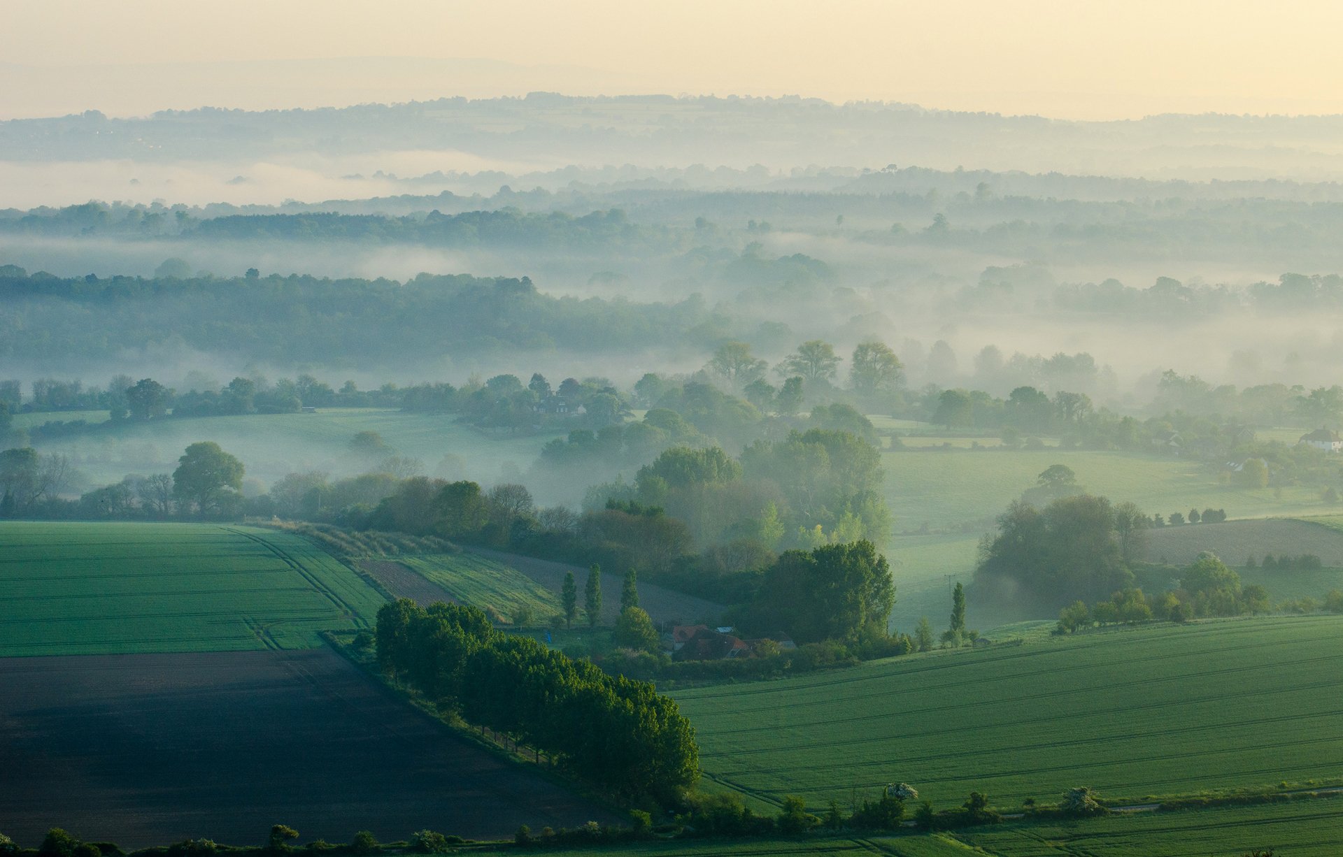 ciel matin brouillard collines champ herbe arbres