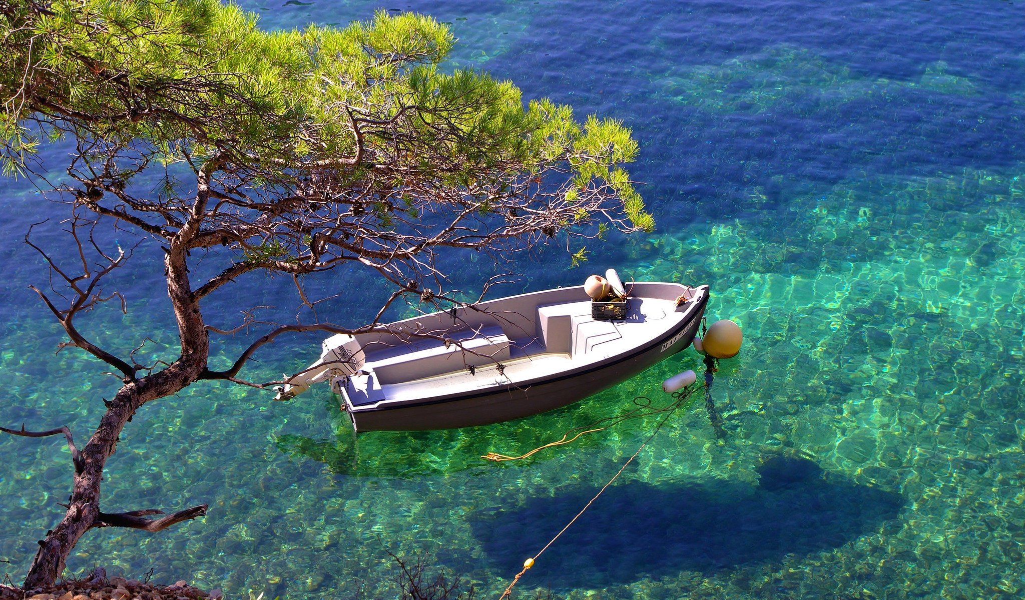 wasser transparenz boot schatten baum bucht