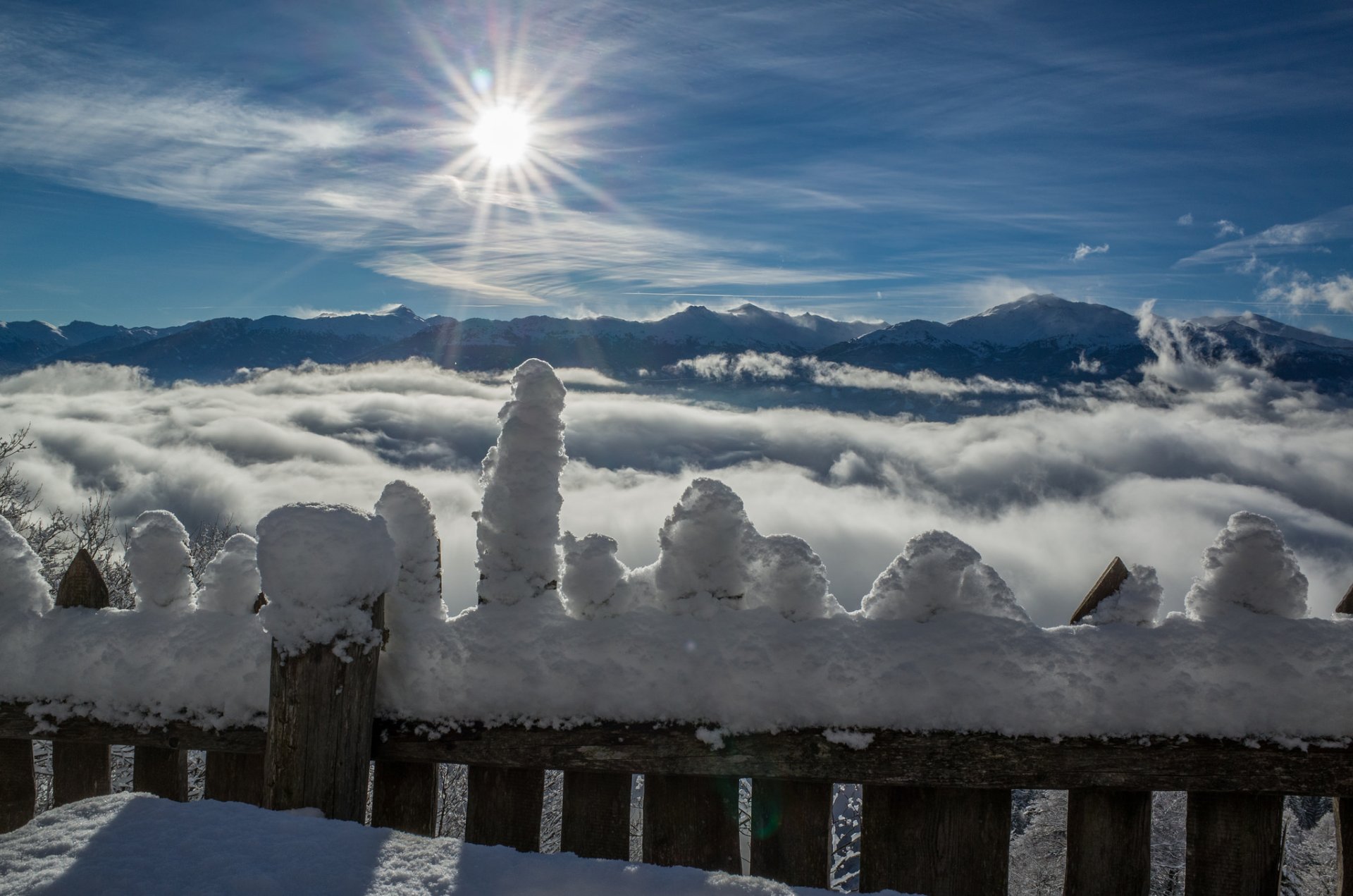 cerca nieve invierno sol montañas