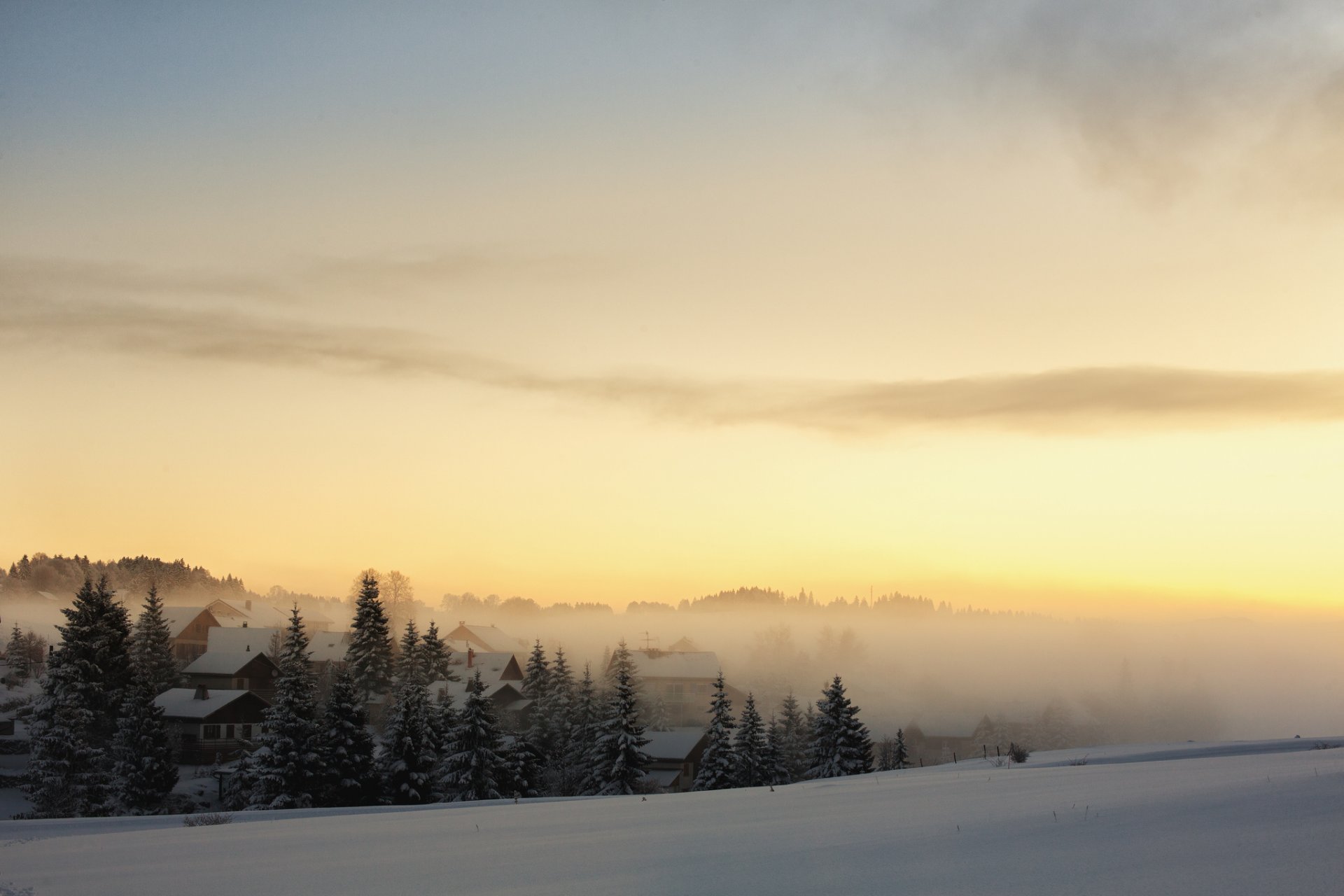 bosque abeto casa pueblo nieve mañana amanecer niebla invierno