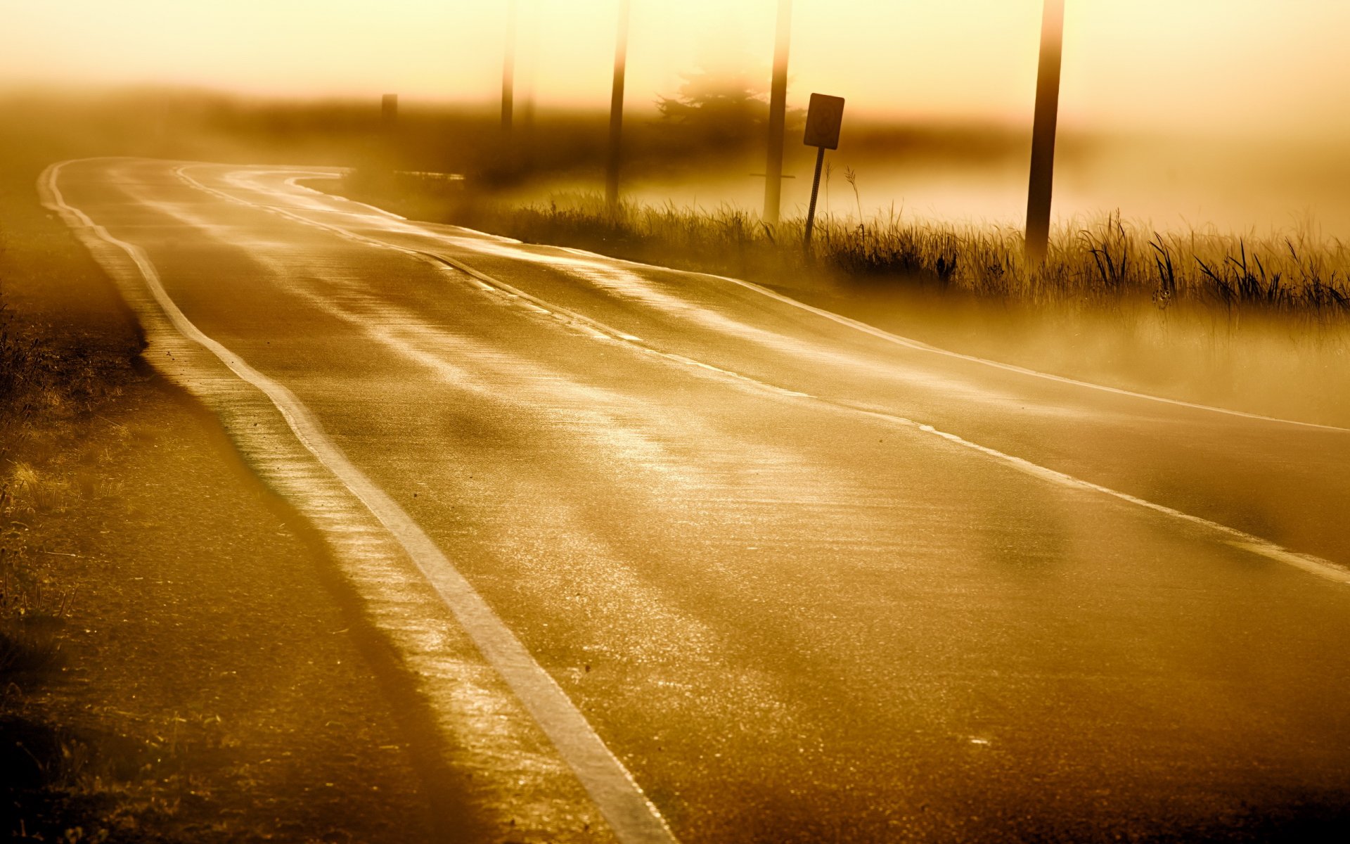 morning fog road landscape