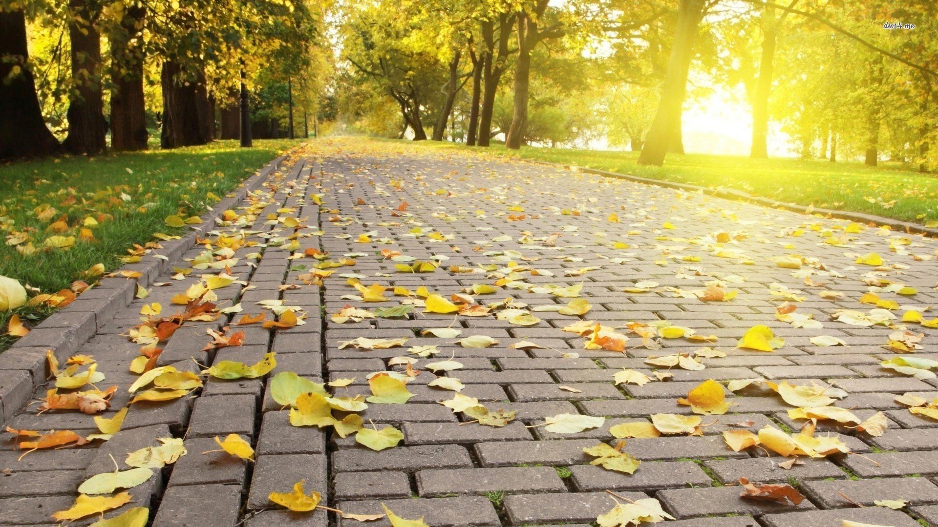 herbst park gasse