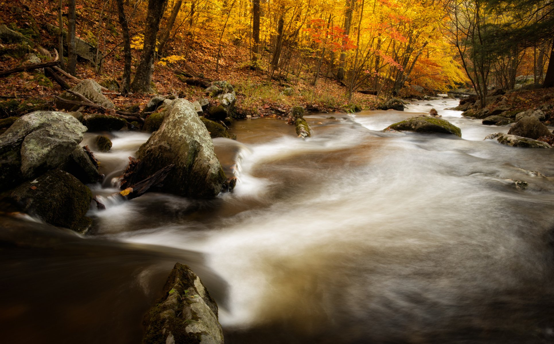 macedonia brook state park kent connecticut rzeka jesień las kamienie