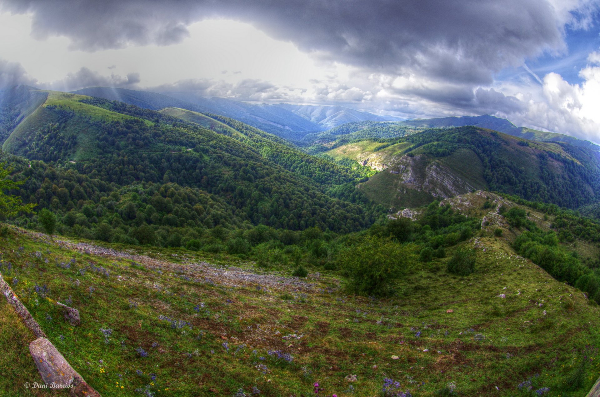 pain clouds cantabria sky forest mountain grass