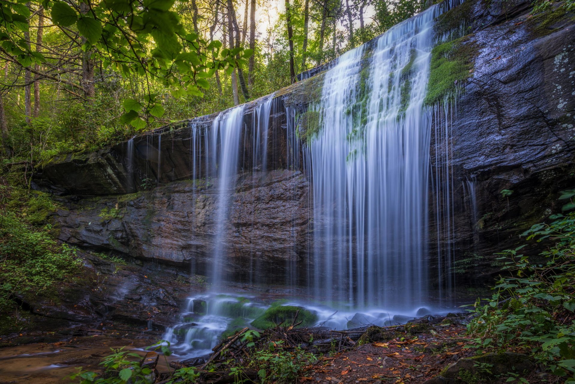 cascade rocher eau forêt nature