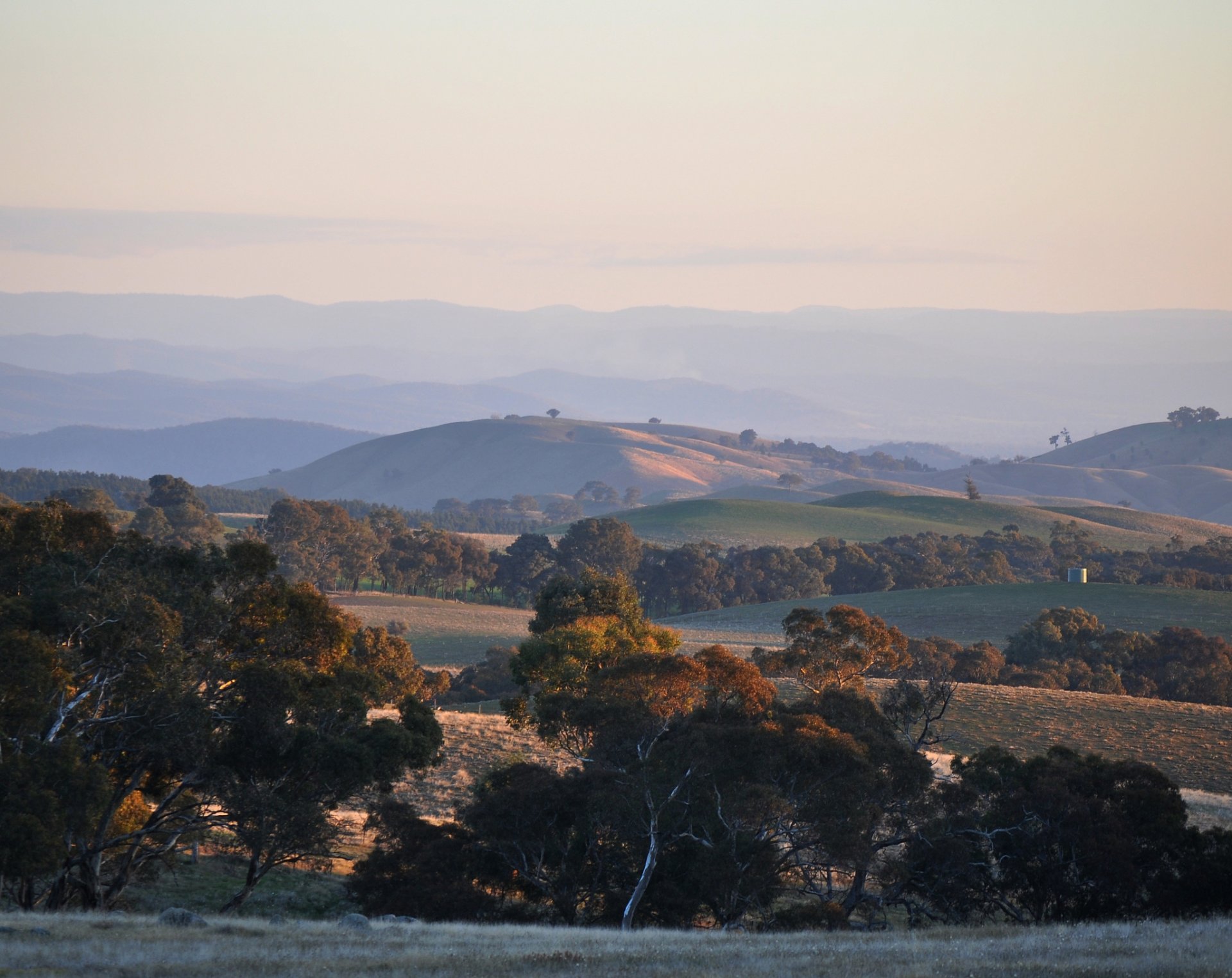 near beechworth victoria australia hills tree night sunset