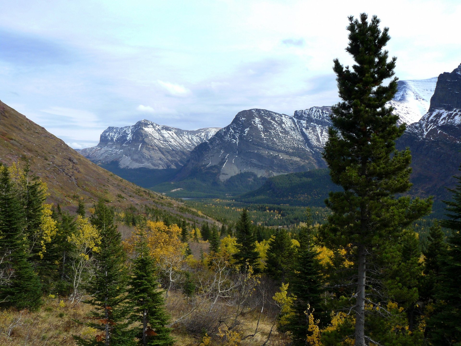 parque estados unidos montañas paisaje glaciar montana árboles naturaleza foto