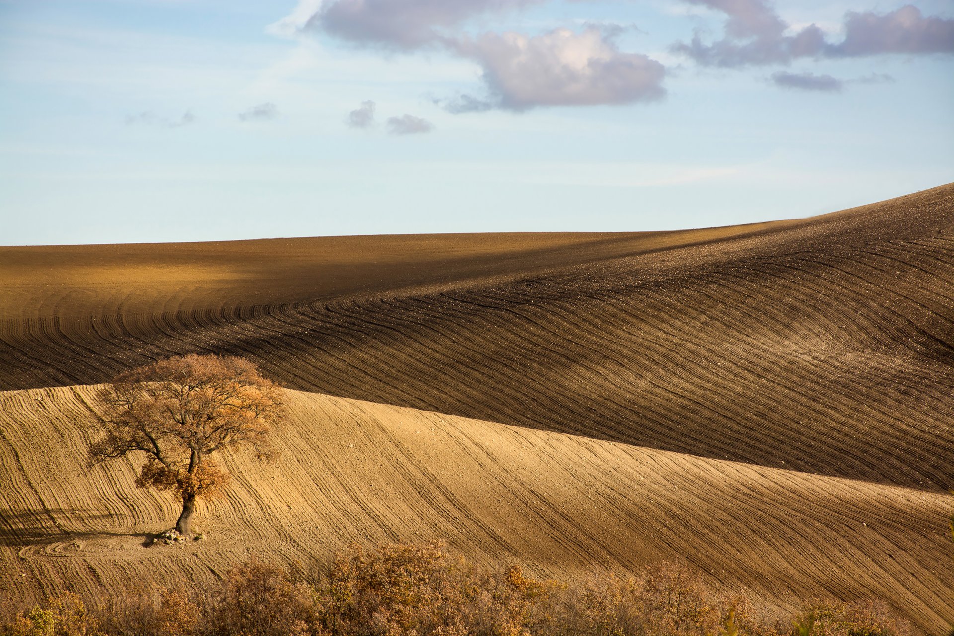 italia monti prenestini cielo albero campi colline