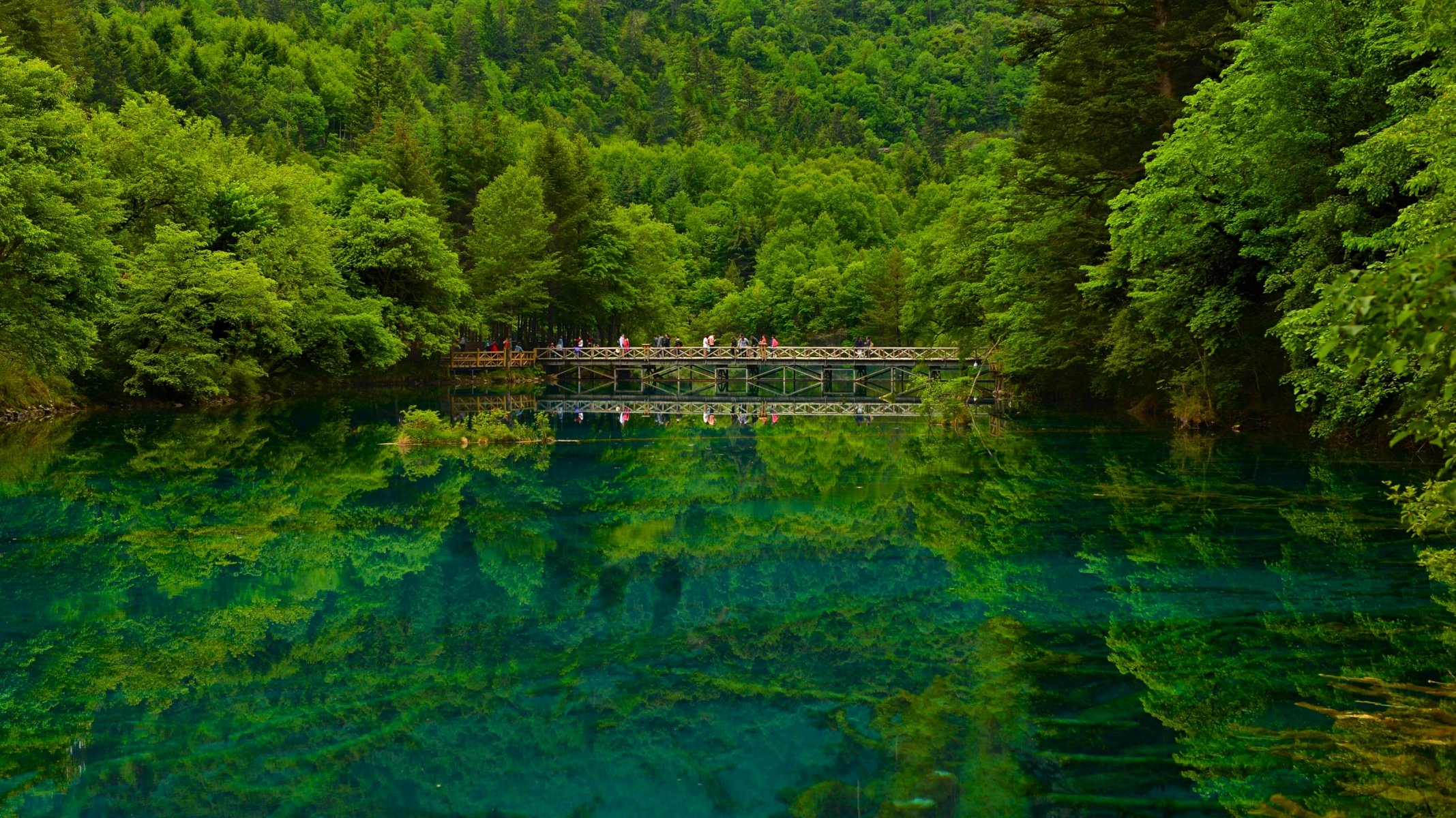 jiuzhaigou sichuan china naturschutzgebiet see brücke wald reflexion