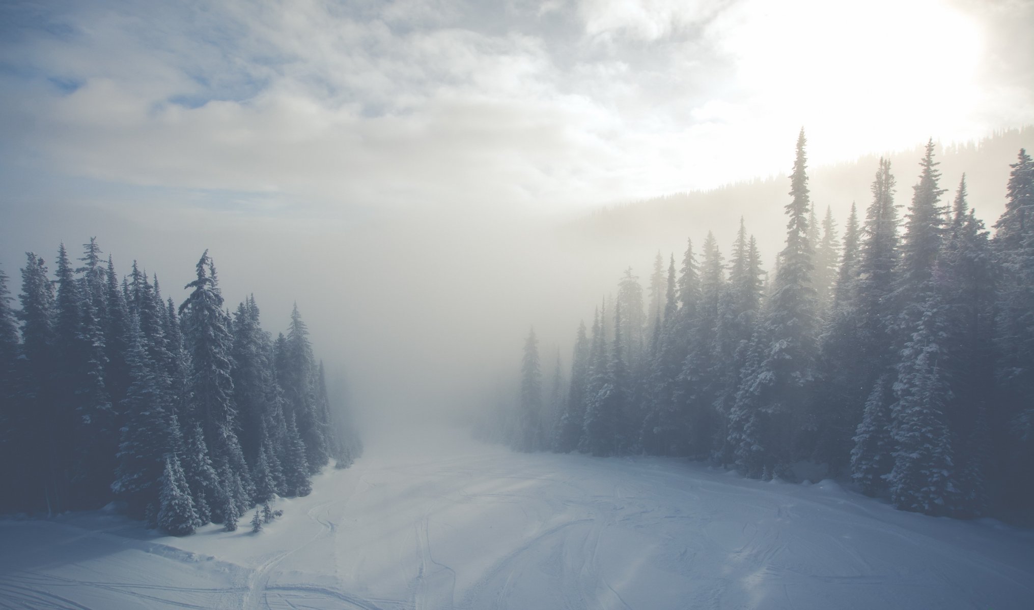 nebbia inverno