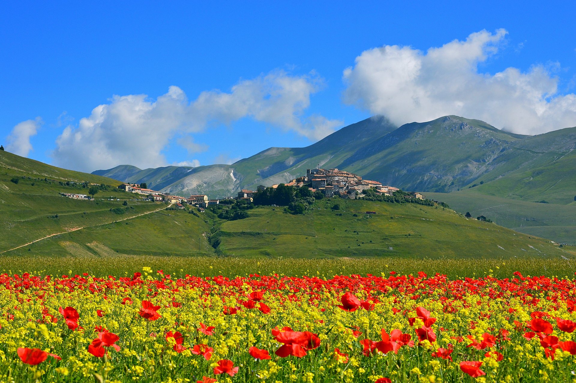 castelluccio di norcia italia montagne campo prato fiori papaveri villaggio case