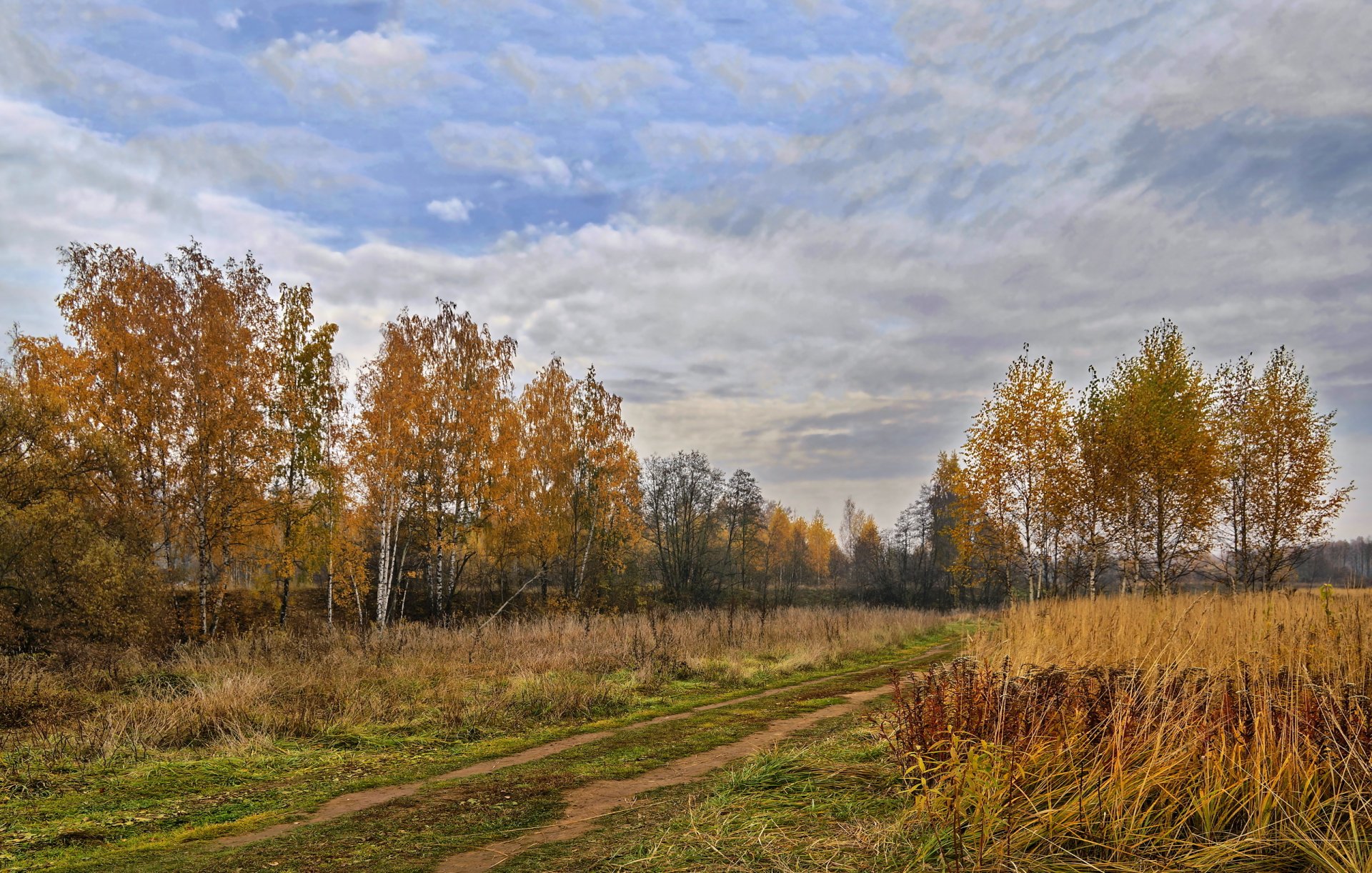 árboles otoño paisaje región de moscú