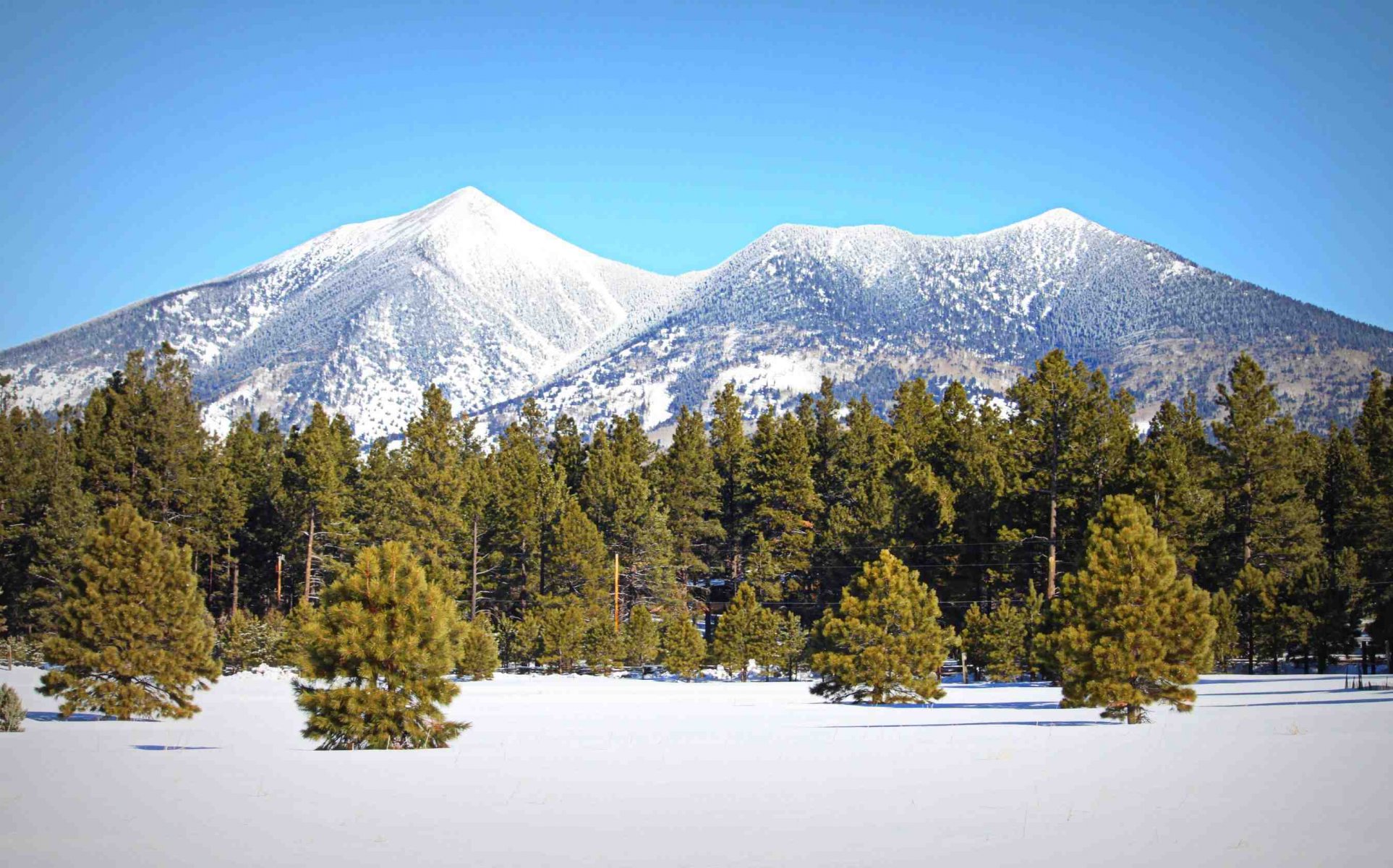 natura montagne inverno foresta alberi neve cima cielo